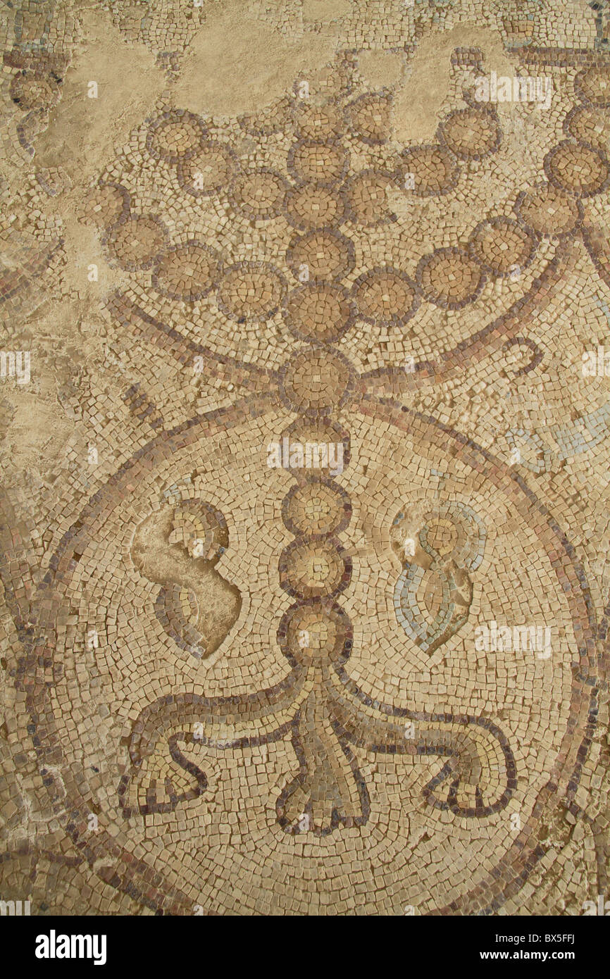 Israel, Negev, mosaic at the ancient Synagogue of Hurvat Maon Stock Photo