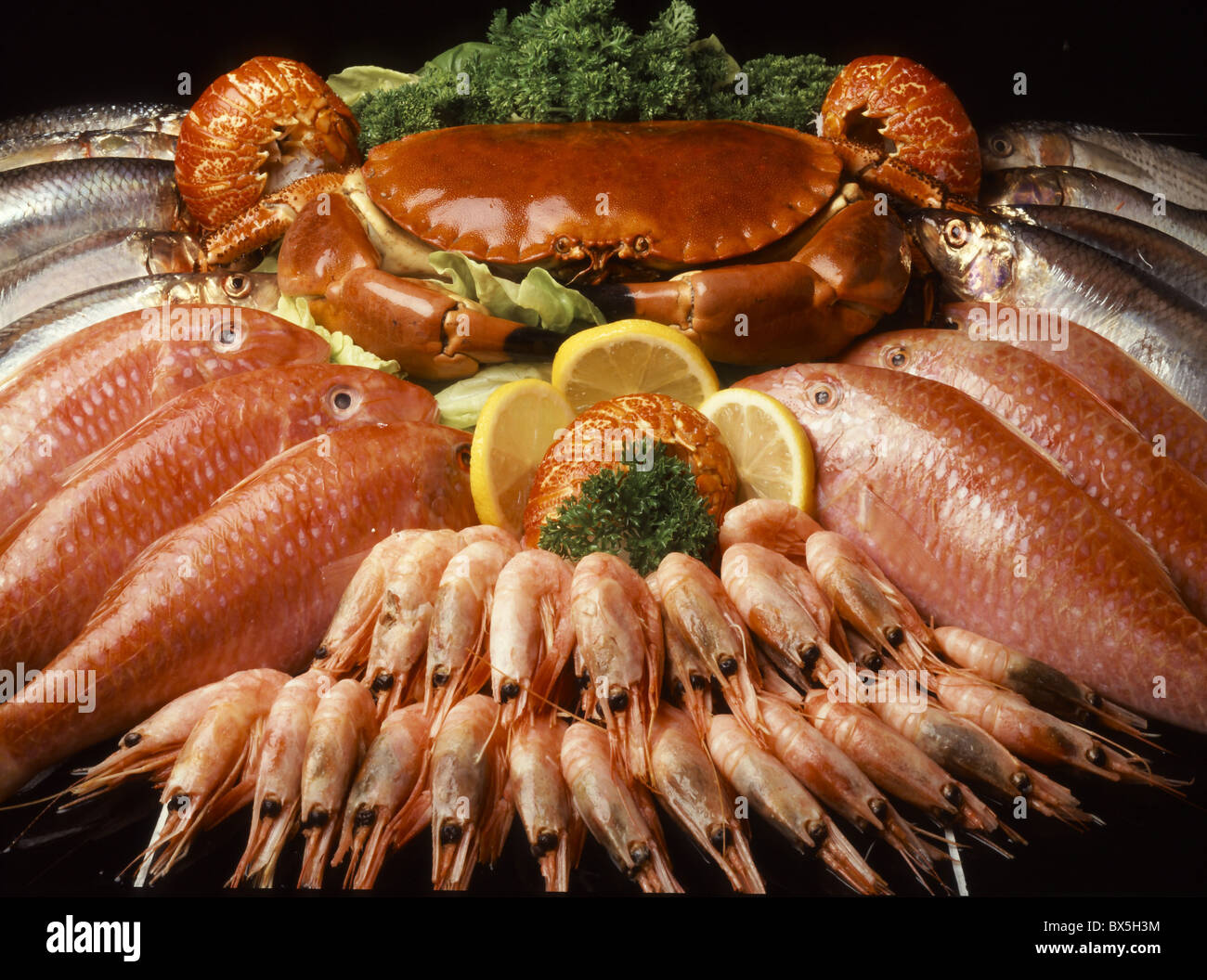 FISH COUNTER a display of sea food,Crab,red Snapper,Prawns Stock Photo