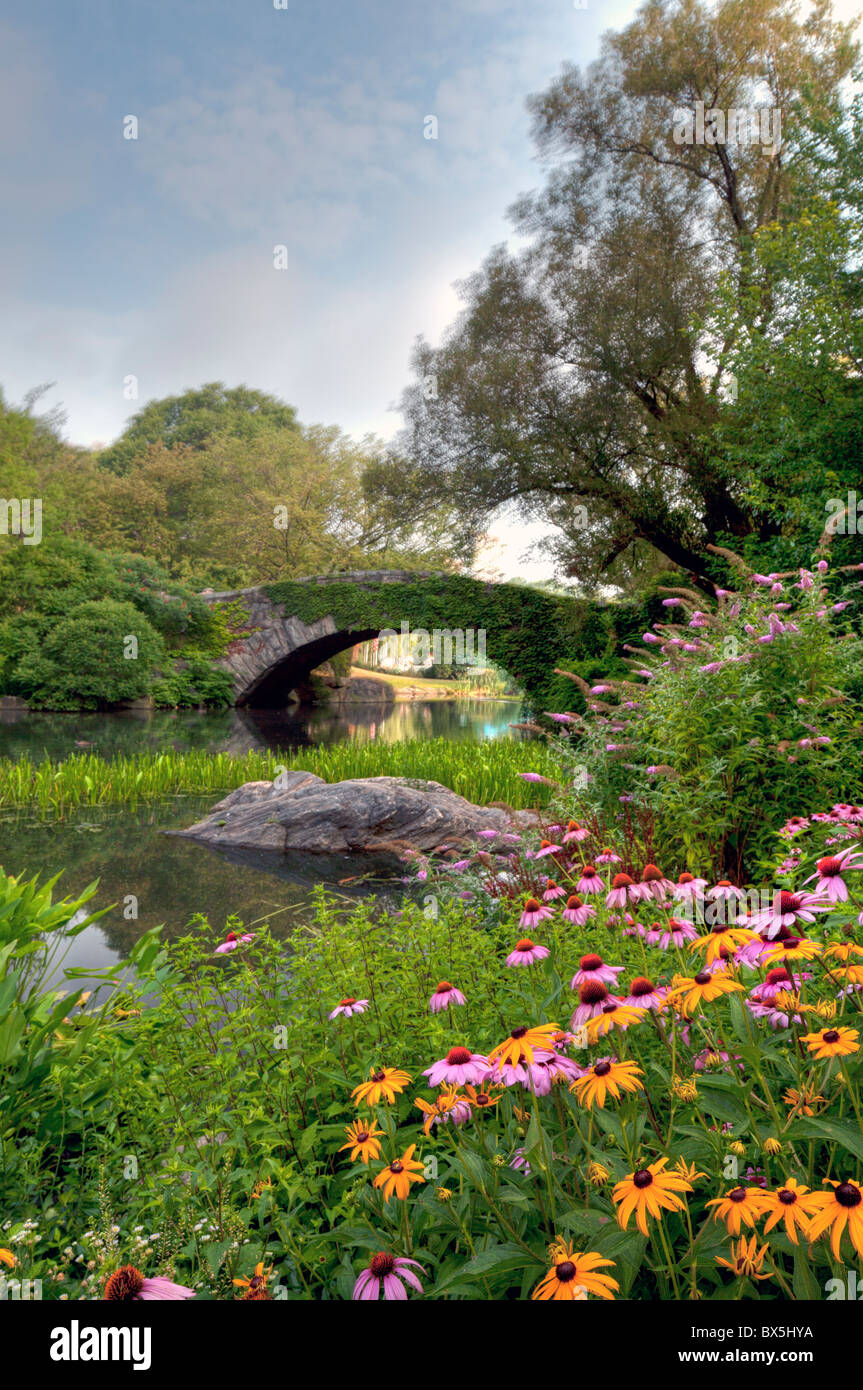 Central Park New York City flowers in summer Stock Photo Alamy
