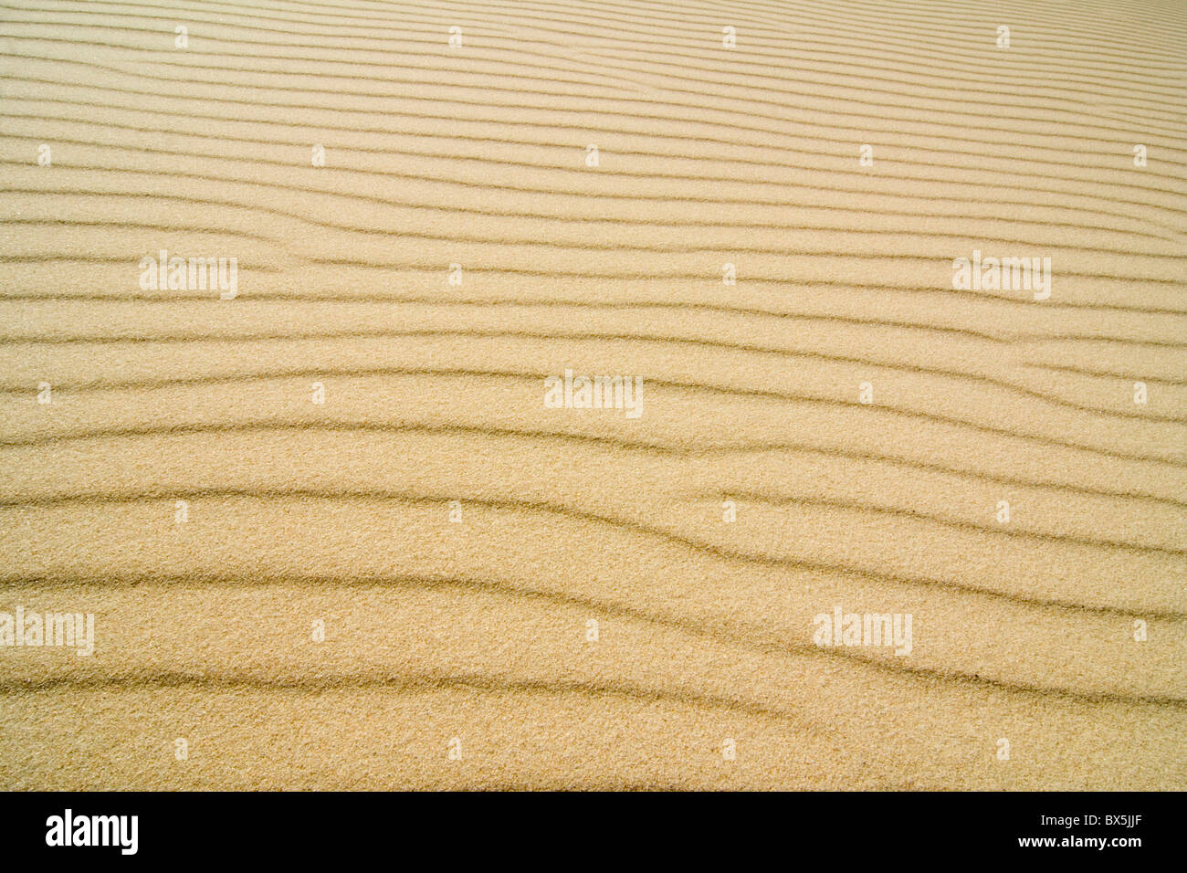 detail on sand structure Stock Photo Alamy