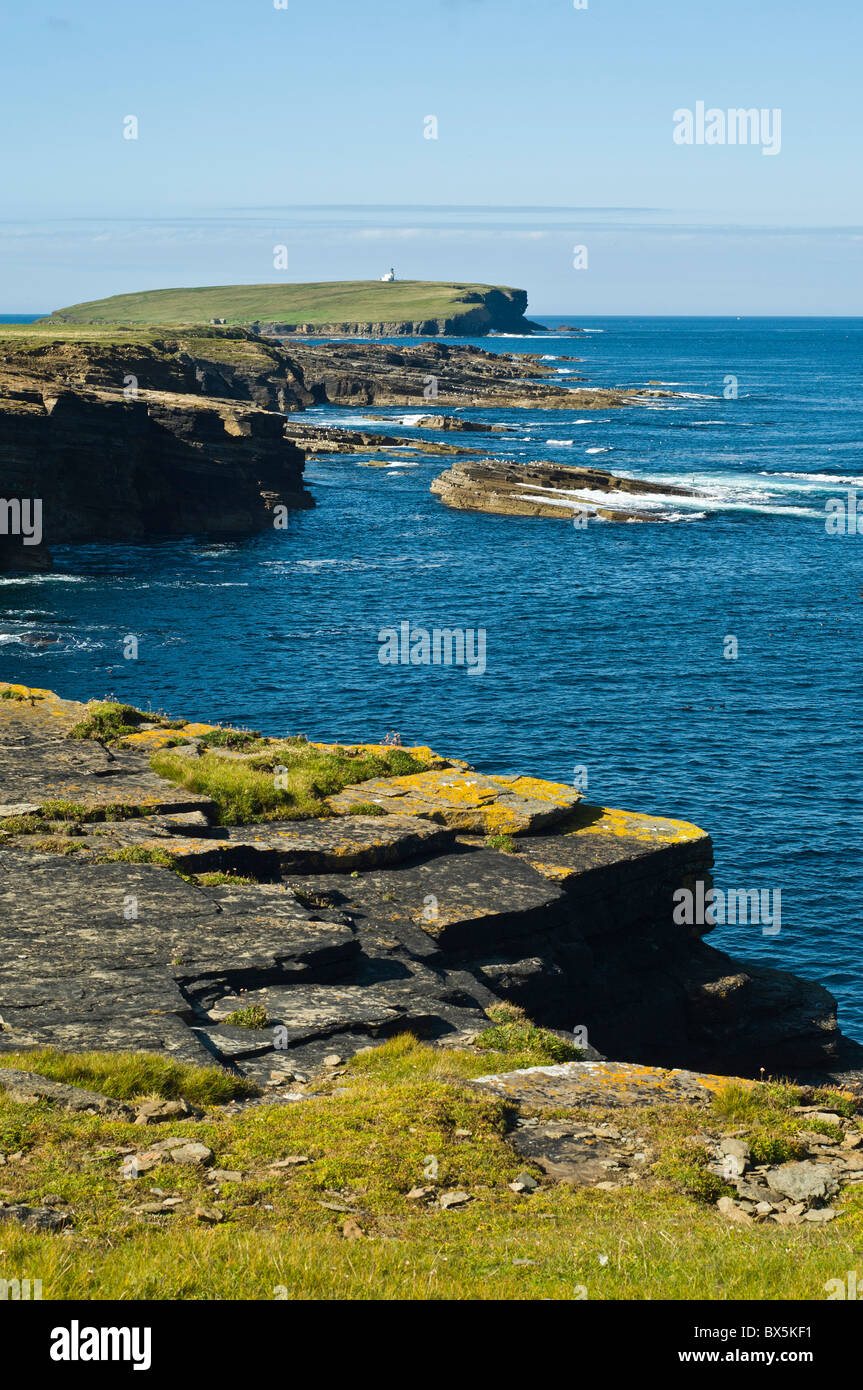 dh Brough of Birsay BIRSAY ORKNEY Northern coast of Orkney rocky seacliffs Stock Photo