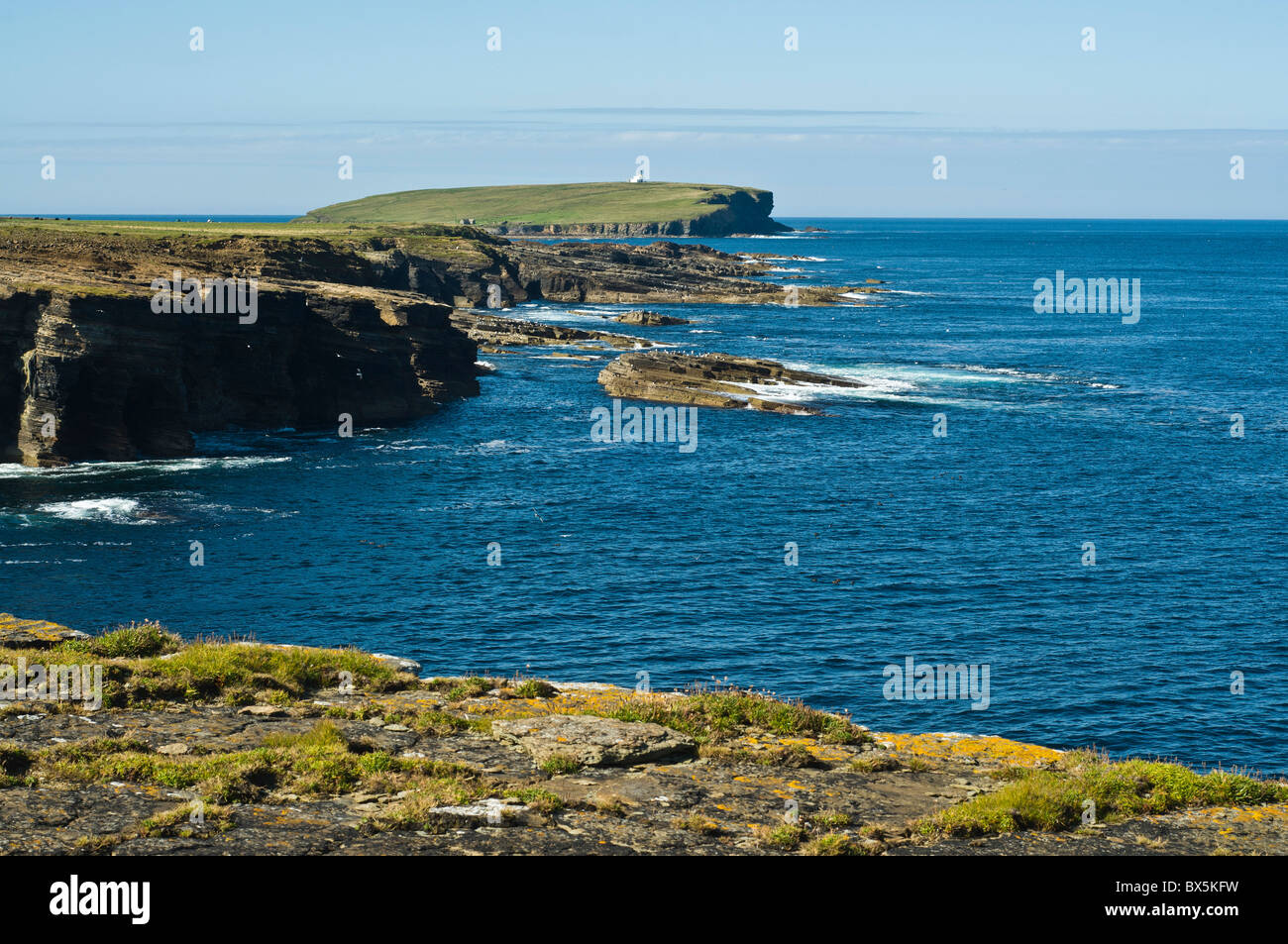 dh Brough of Birsay BIRSAY ORKNEY Northern coast of Orkney rocky seacliffs Stock Photo