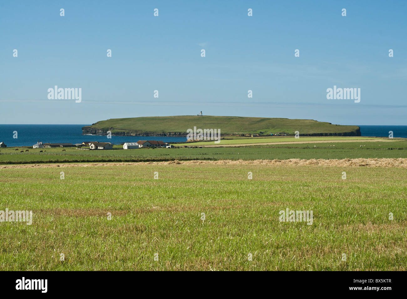 dh Brough of Birsay BIRSAY ORKNEY Birsay fields and Brough of Birsay lighthouse Stock Photo