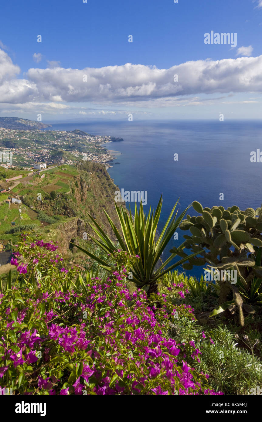 Looking towards Funchal from Cabo Girao, 580m, Portugal Stock Photo