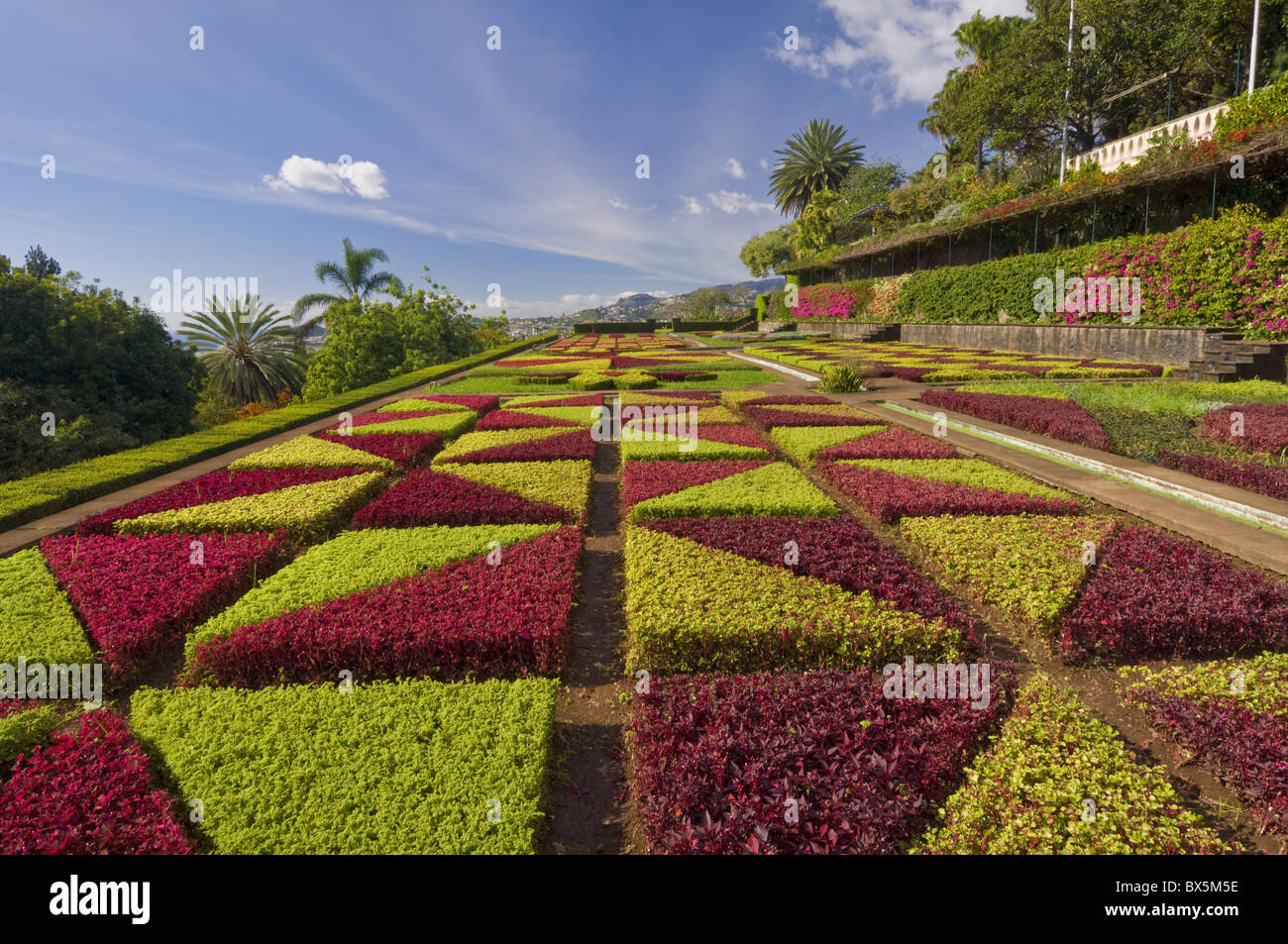 Formal gardens in the Botanical gardens (Jardim Botanico), above Funchal, Madeira, Portugal, Europe Stock Photo