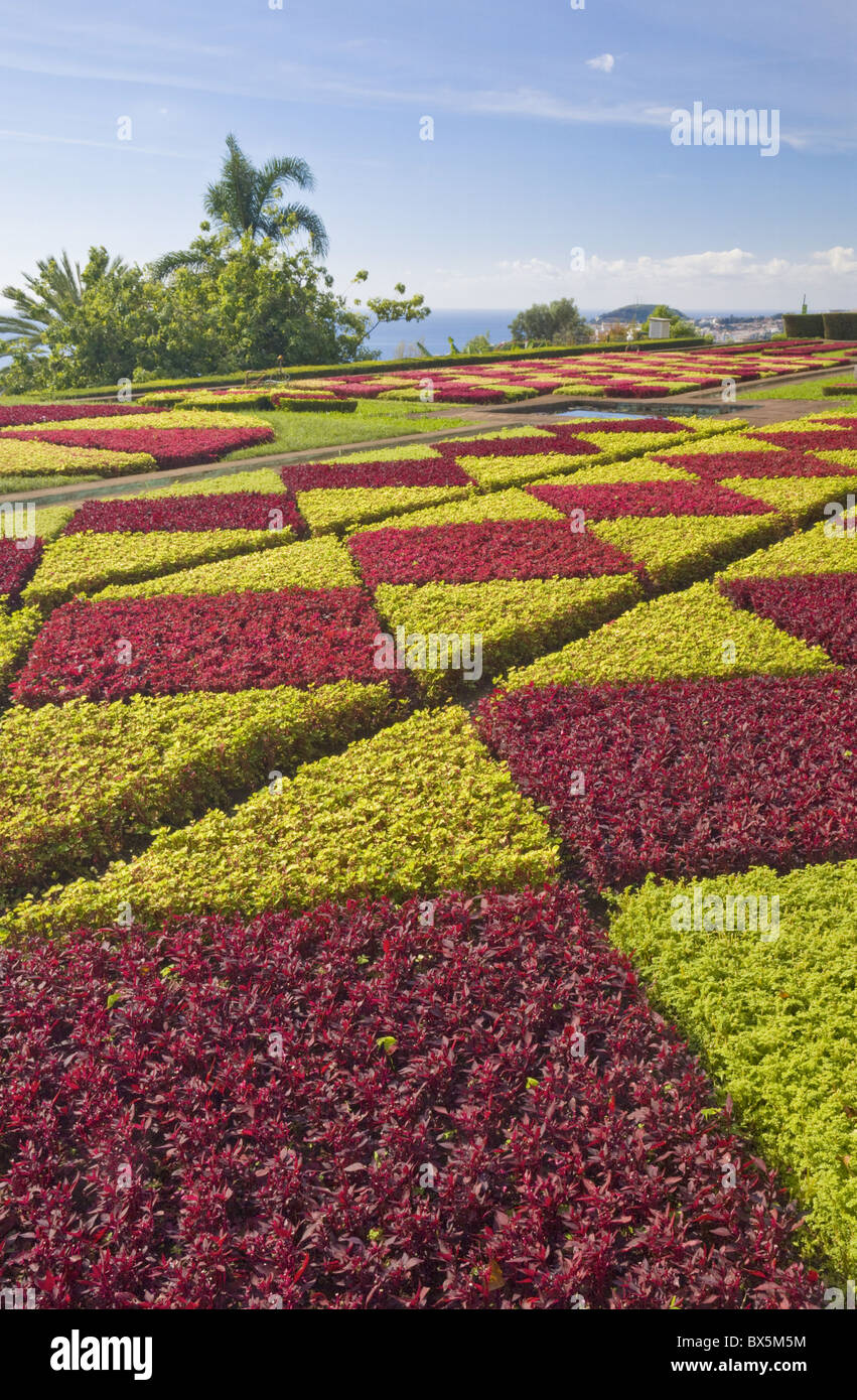 Formal gardens in the Botanical gardens (Jardim Botanico), above Funchal, Madeira, Portugal, Europe Stock Photo