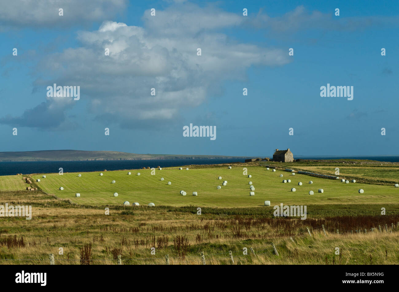 dh EGILSAY ORKNEY Fields and farmhouse remote uk isolated northern Scotland farm island house Stock Photo