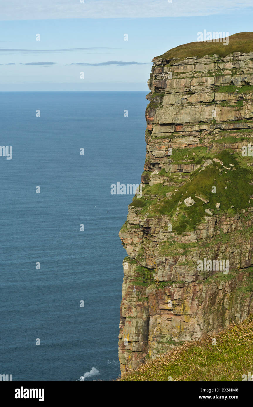 dh Bre Brough HOY ORKNEY St Johns head one of the highest vertical seacliffs in Britain Stock Photo