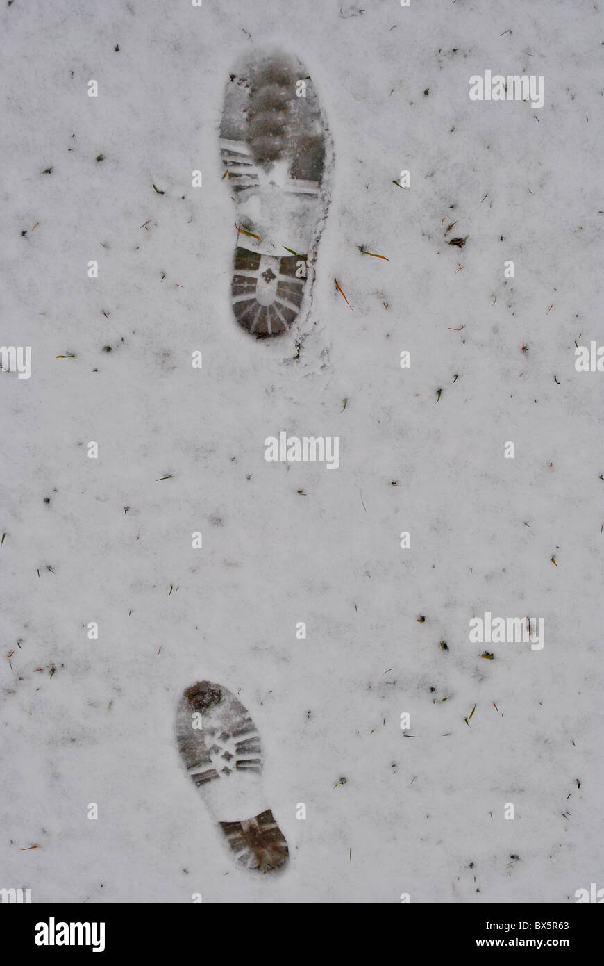 Tracks in the snow shoe Stock Photo Alamy
