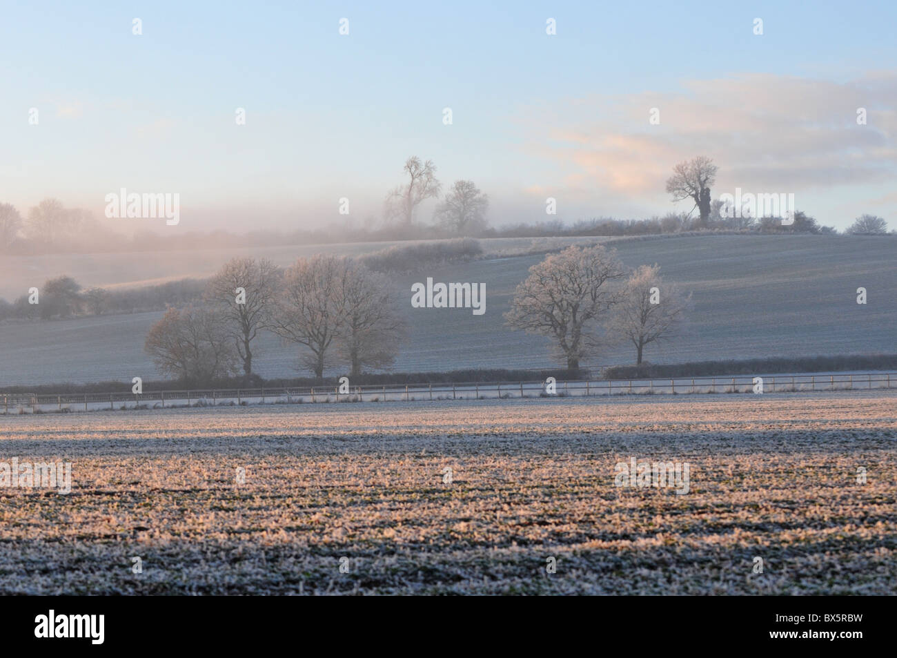 Hoar frost covered trees near Hook Norton, Oxfordshire in late afternoon mist Stock Photo