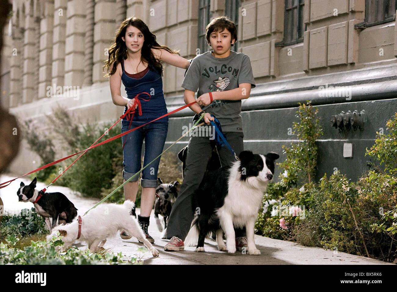 A Hotel For Dogs Full Movie A Hotel For Dogs Full Movie
