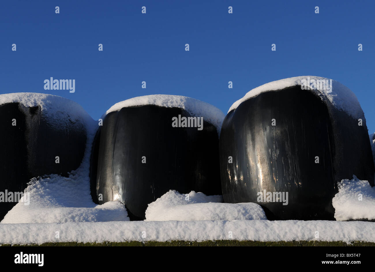 Hay bales covered in snow Stock Photo