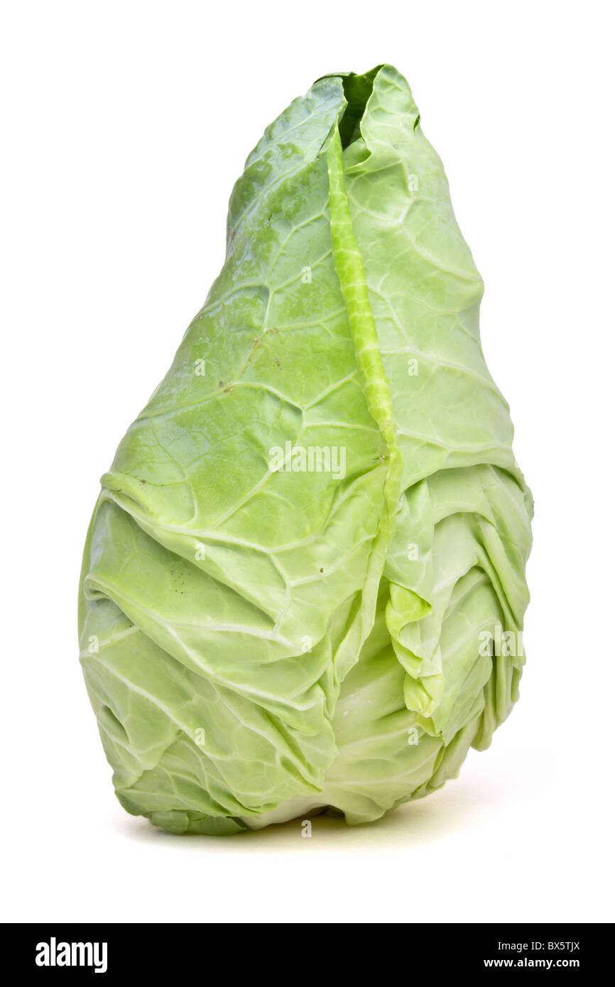 Sweetheart cabbage hires stock photography and images Alamy