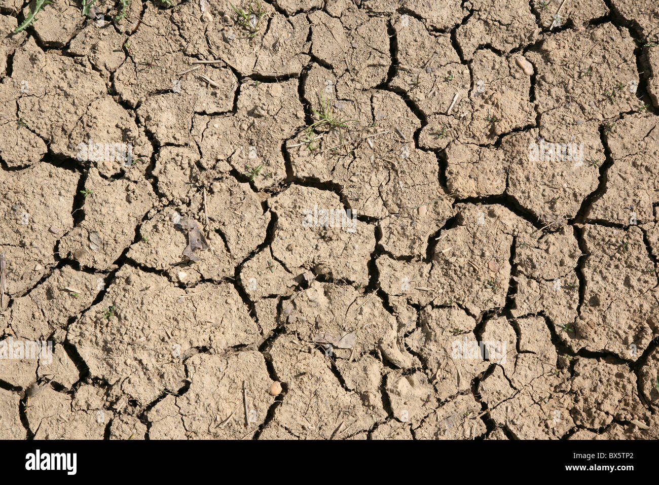 Parched dry earth Stock Photo