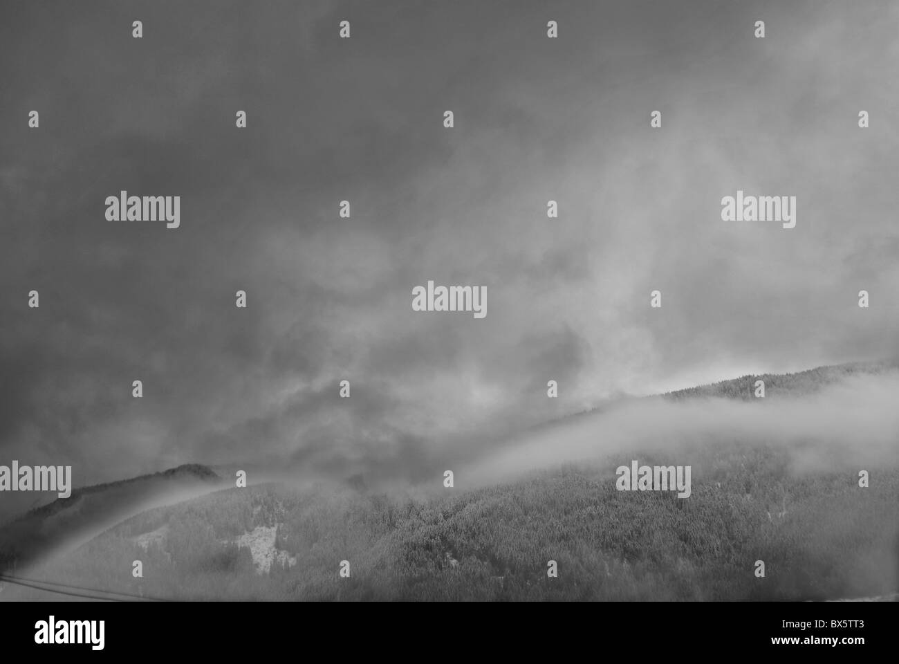 snow covered mountain with pine tree Stock Photo - Alamy