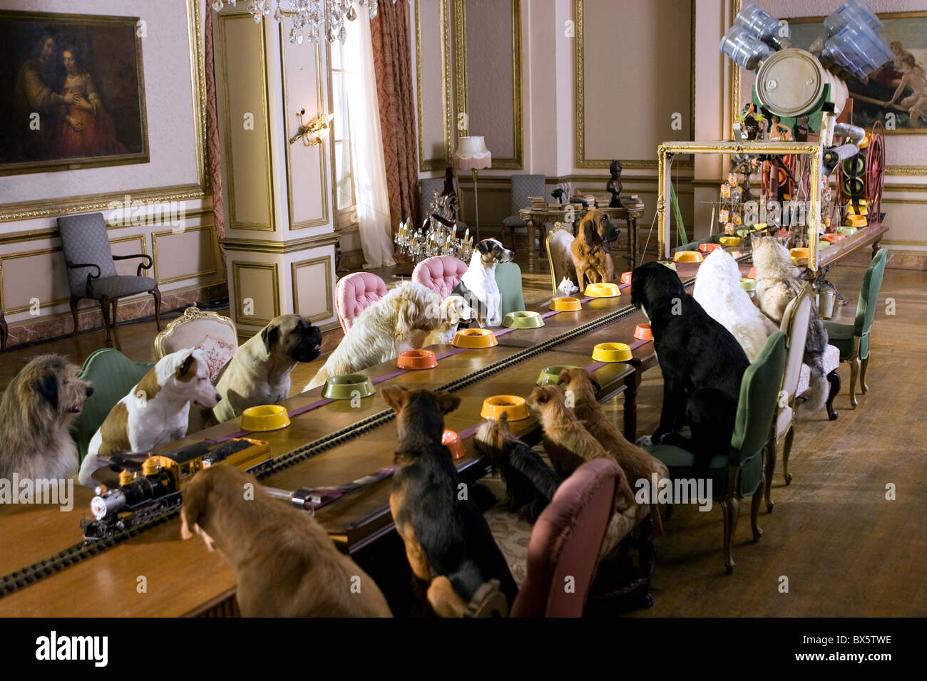 Dogs Eating Dinner Table High Resolution Stock Photography and Images