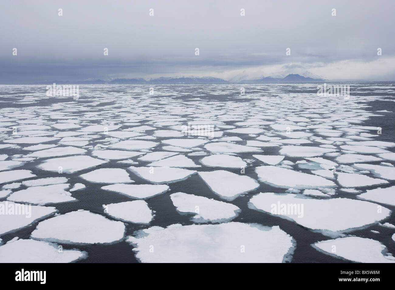 Ice floe, drift ice, Greenland, Arctic, Polar Regions Stock Photo - Alamy