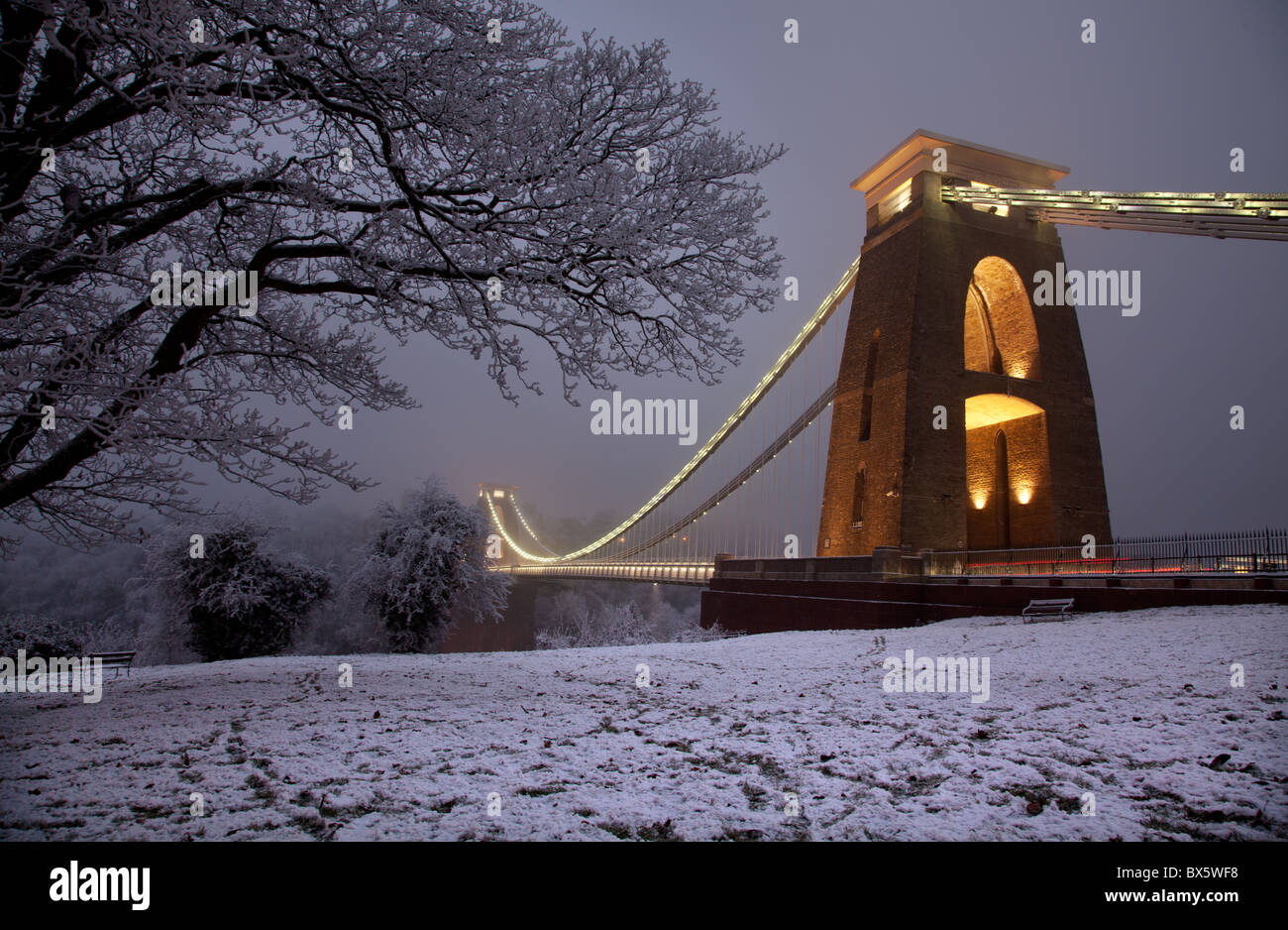 Clifton suspension bridge trees hi-res stock photography and images - Alamy