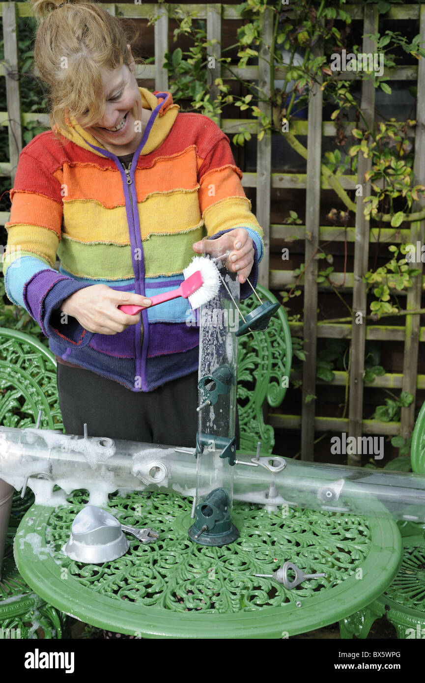 Women Cleaning Garden Bird Feeders Norfolk Uk October Stock