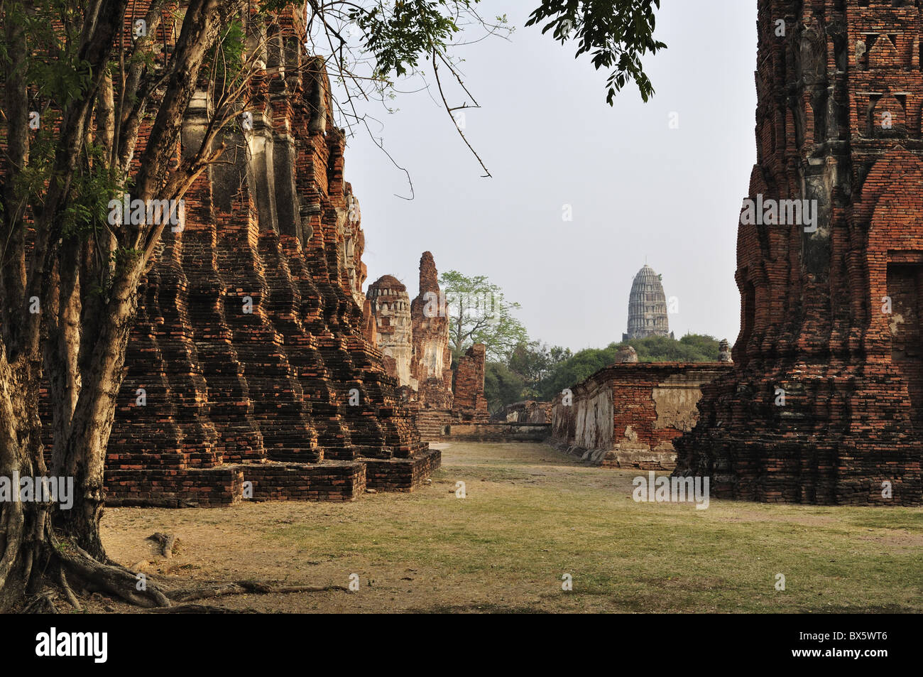 Wat Maha That, Ayutthaya, UNESCO World Heritage Site, Thailand, Southeast Asia, Asia Stock Photo