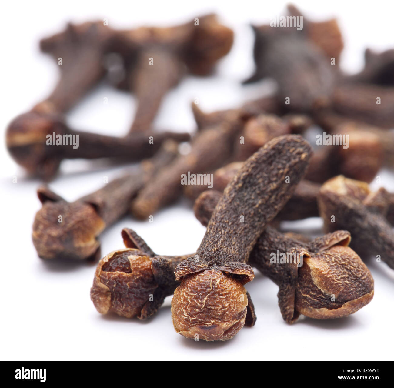 Spice cloves on white background Stock Photo