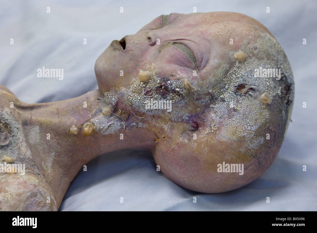 Alien autopsy recreation from the movie Roswell inside the International UFO Museum in Roswell, New Mexico. Stock Photo
