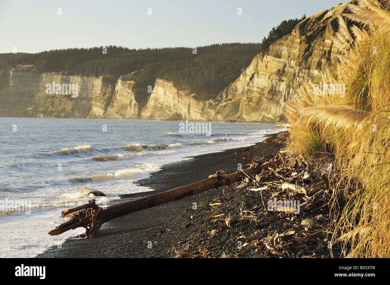Cape Kidnappers, Hawke's Bay, North Island, New Zealand, Pacific Stock Photo