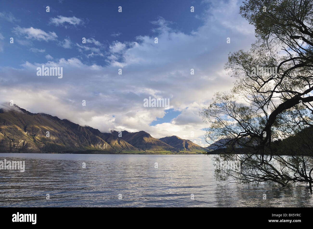 Lake Wakatipu and the Remarkables, Otago, South Island, New Zealand, Pacific Stock Photo