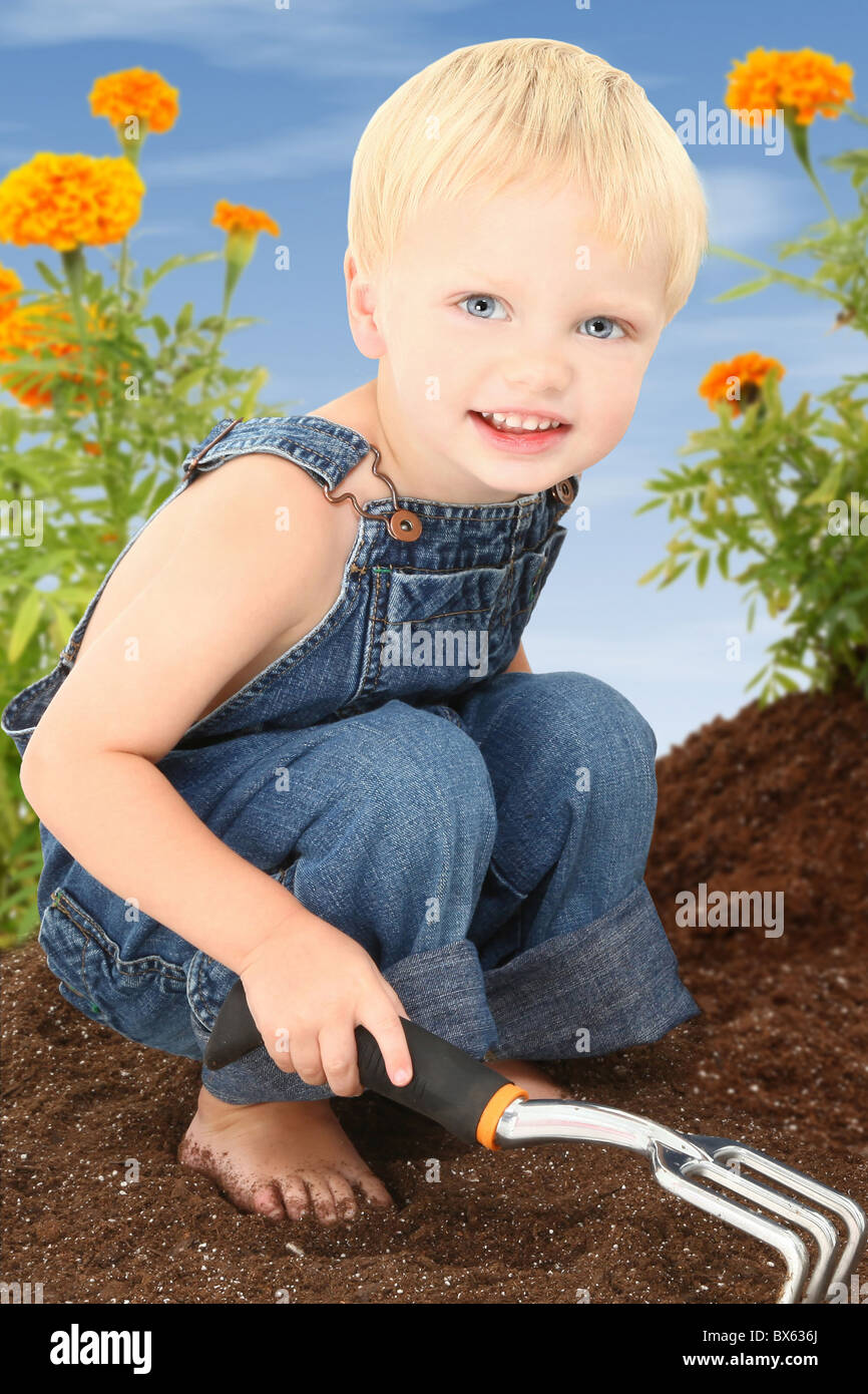 Adorable 2 year old toddler boy with blonde hair working in a marigold garden. Stock Photo
