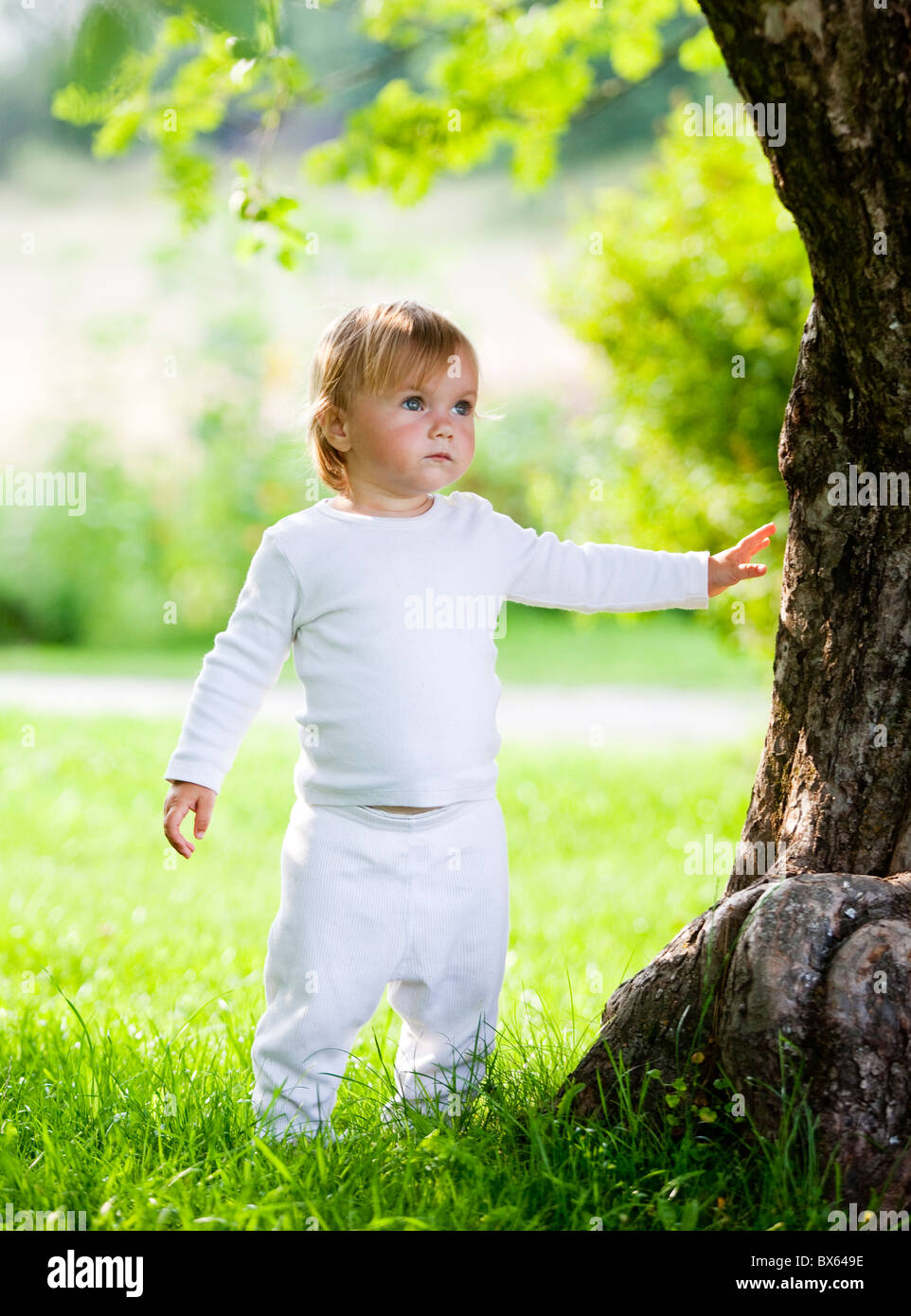 Little baby-girl standing under an appletree.Sweden Stock Photo