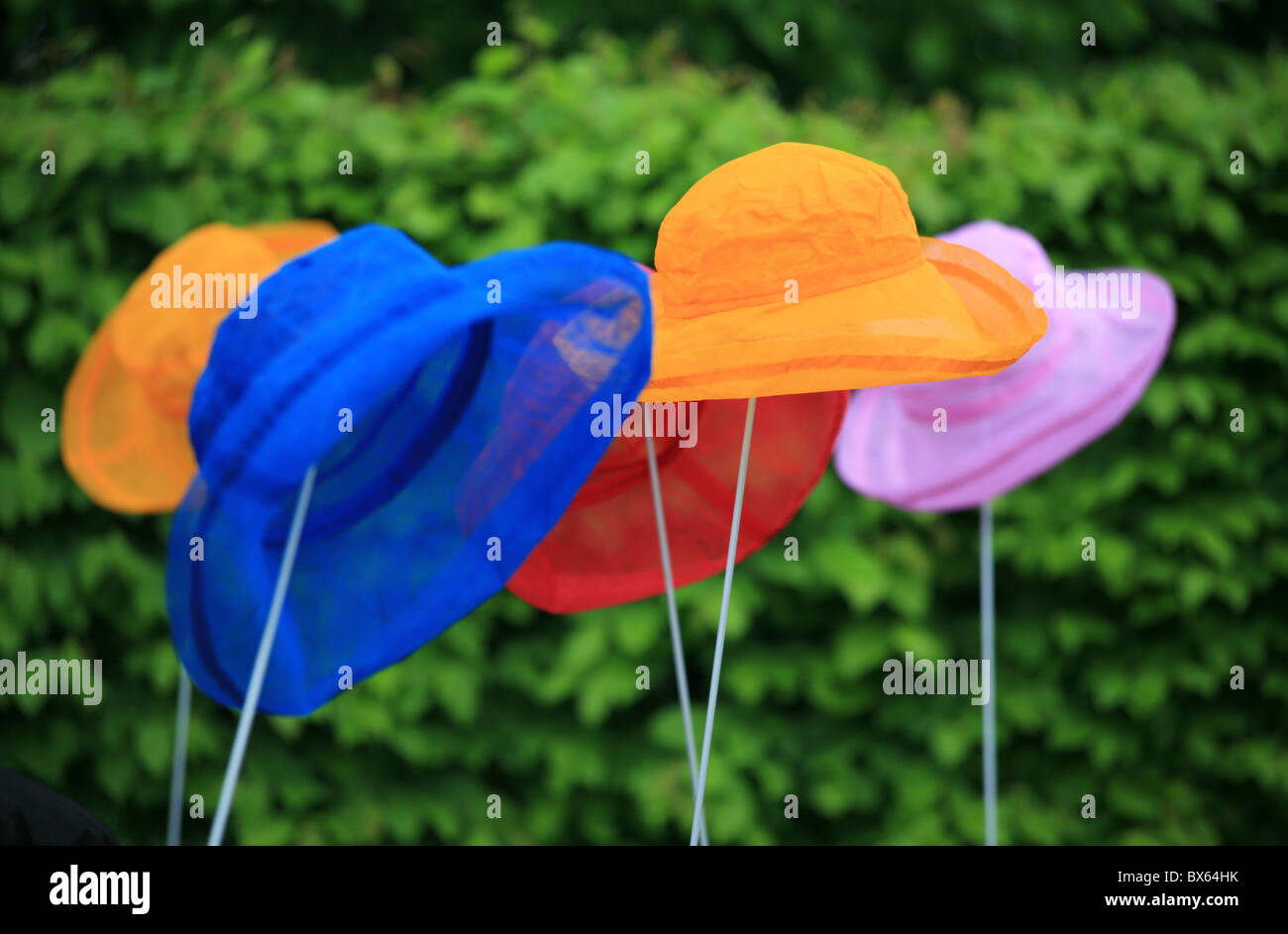 Women with orange hats hi-res stock photography and images - Alamy
