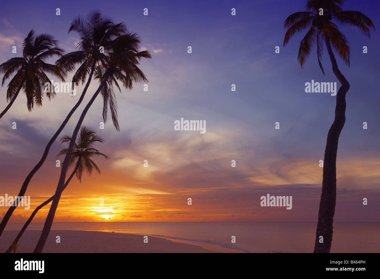 Palm trees and ocean at sunset, Maldives, Indian Ocean, Asia Stock Photo