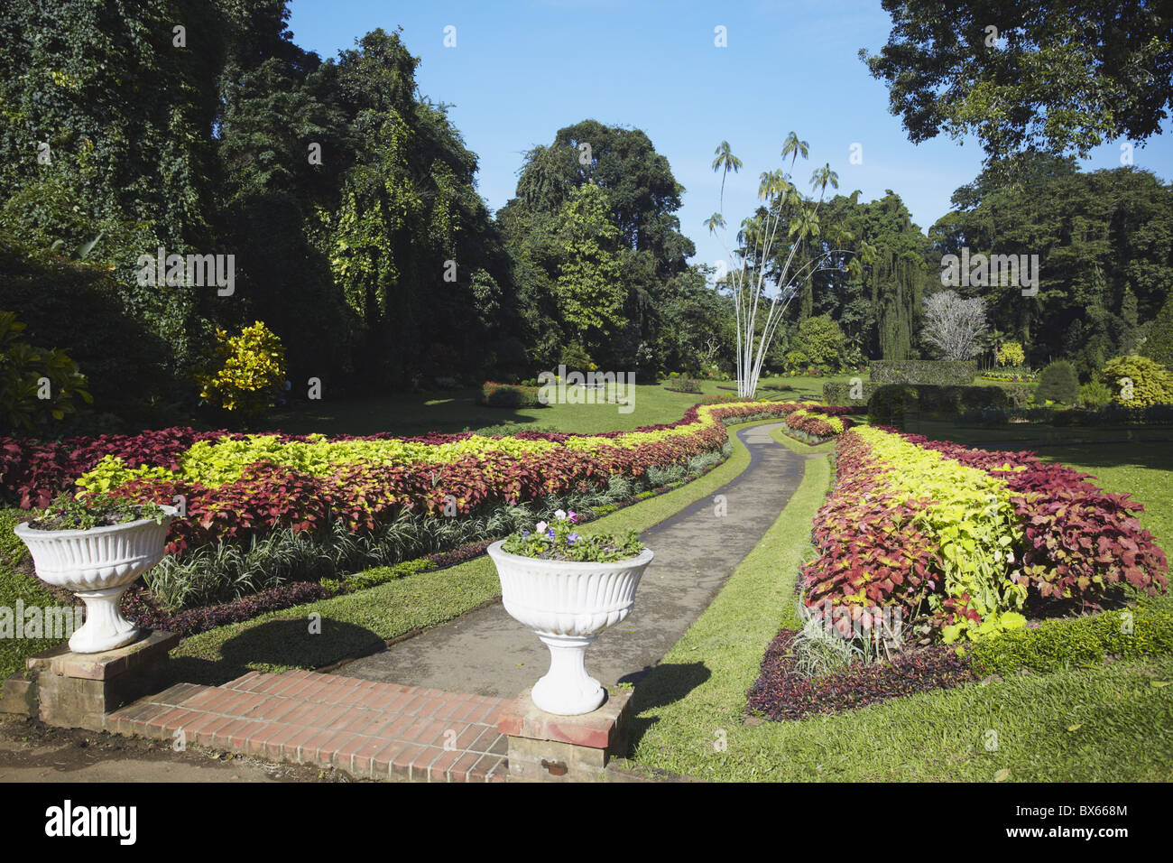 Flower garden in Peradeniya Botanic Gardens, Kandy, Sri Lanka, Asia