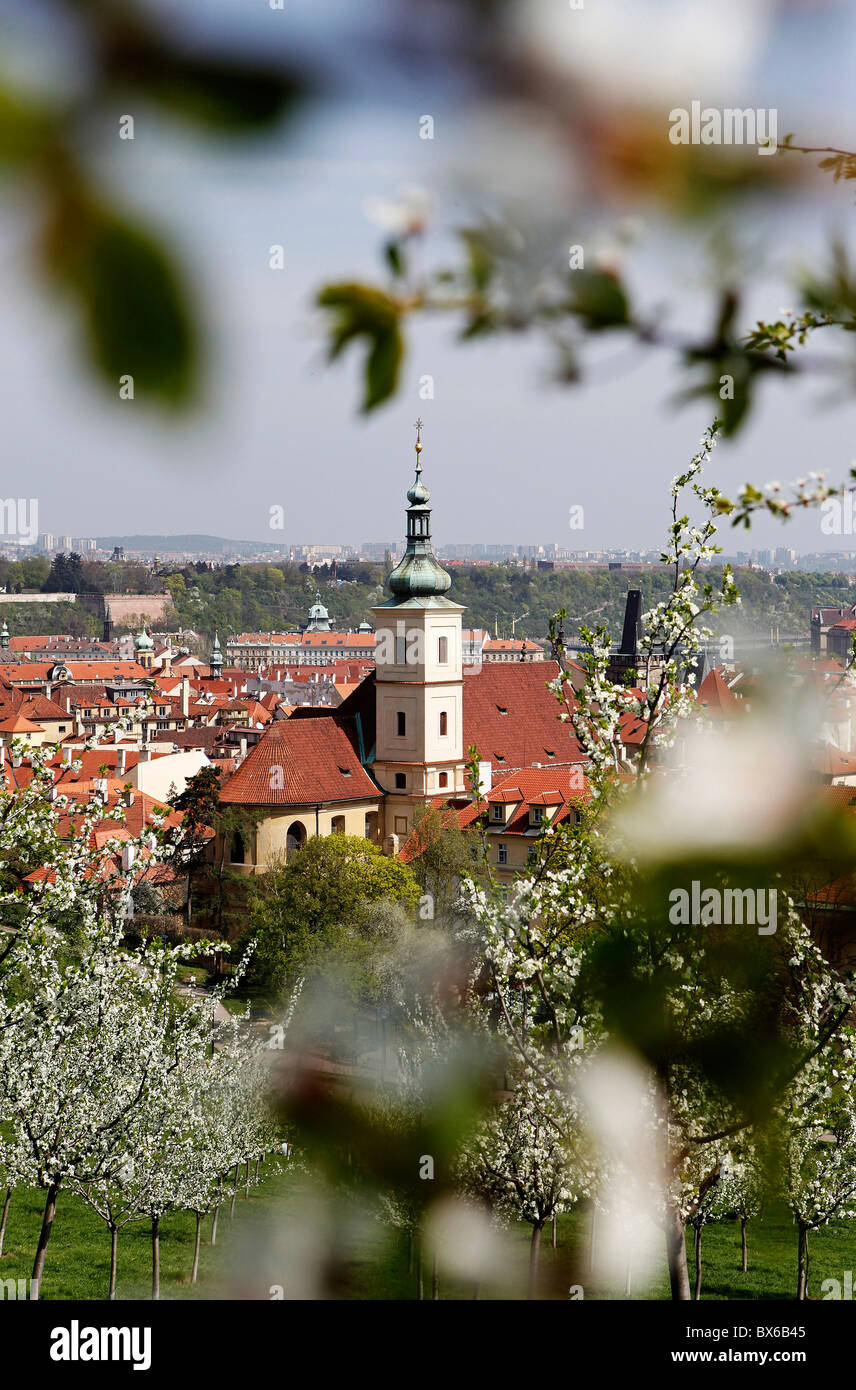 Prague, Petrin, St. Mary the Victorious, church, trees, blossom, spring ...