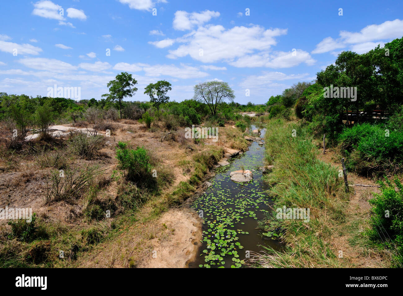 A water hole in Africa plains. Stock Photo