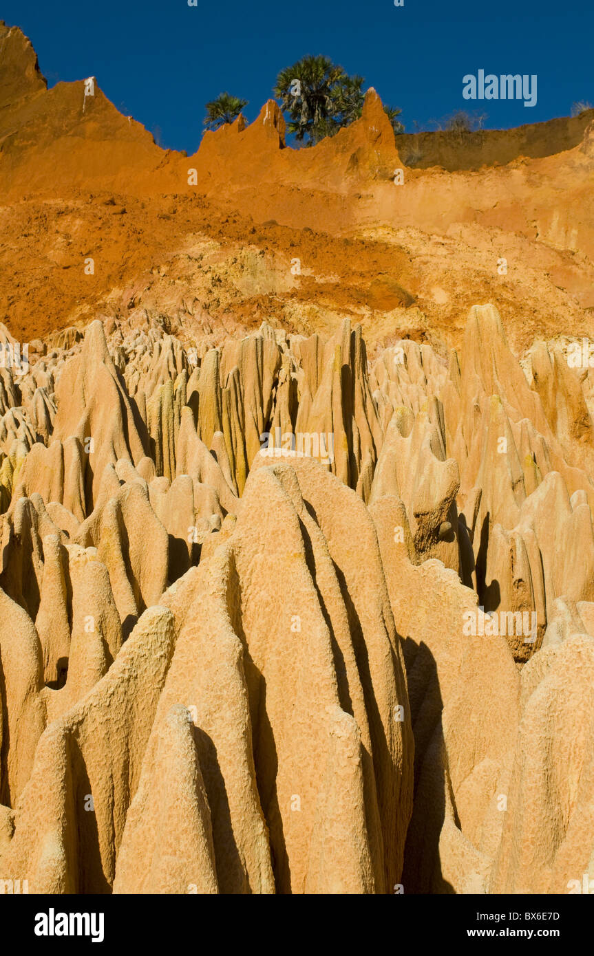 Red Tsingys, strange looking sandstone formations, near Diego Suare (Antsiranana), Madagascar, Africa Stock Photo