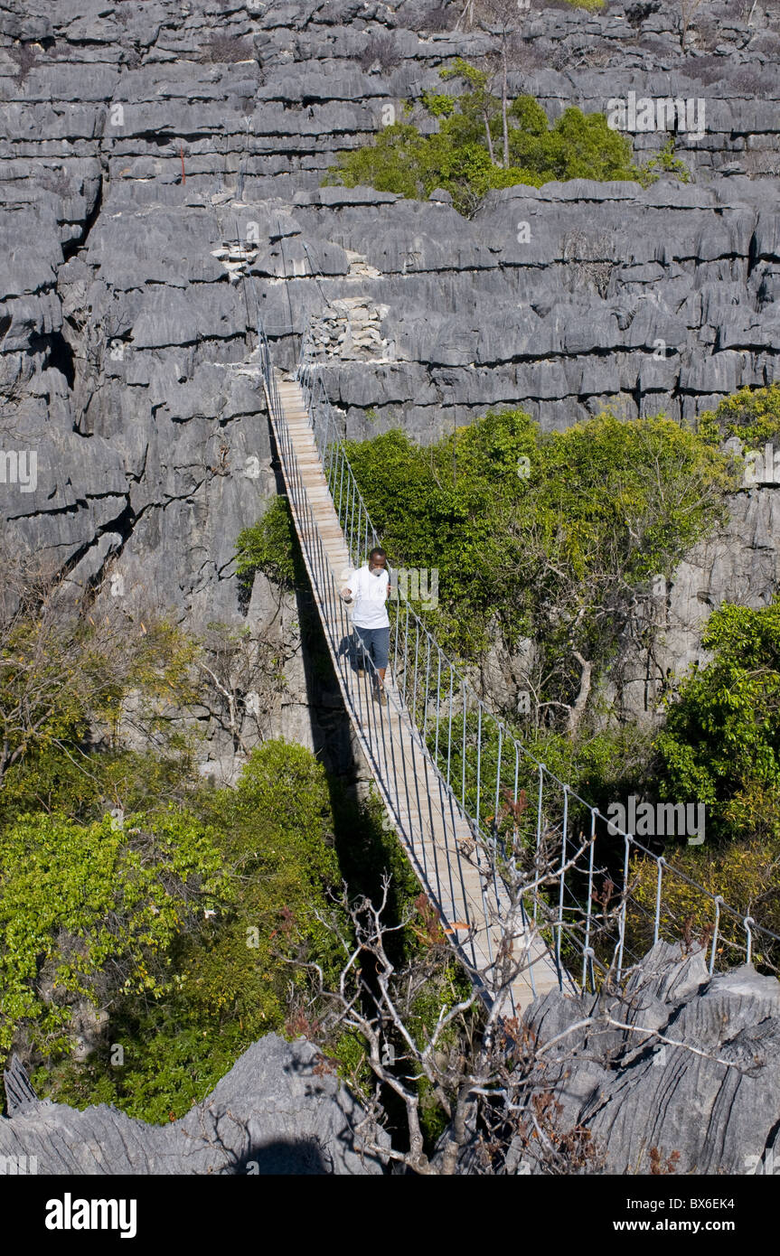 Hanging bridge above the limestone Tsingys, Ankarana National Park, Madagascar, Africa Stock Photo