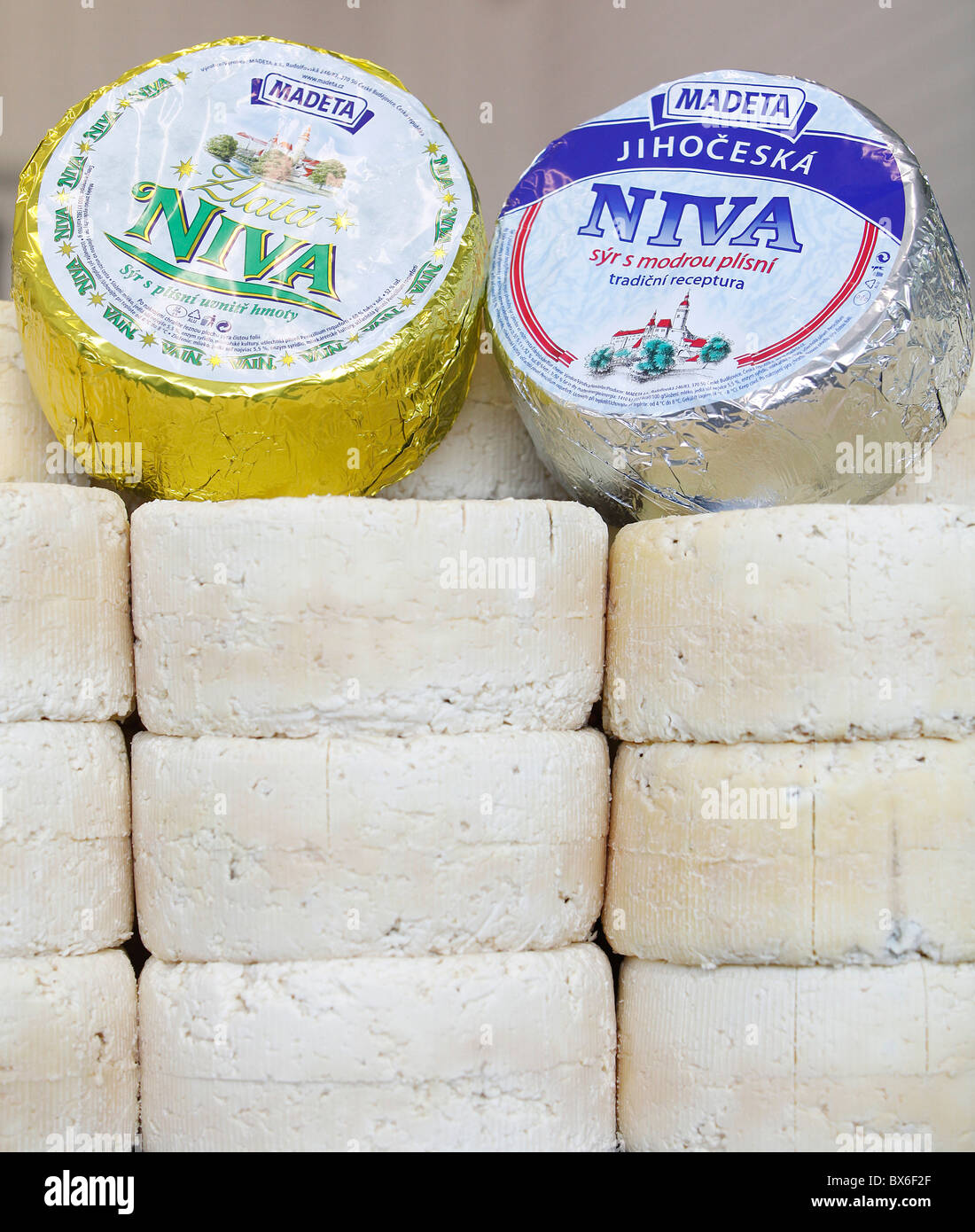 cheese, blue cheese, dairy works, cheesemaking, Niva Stock Photo Alamy