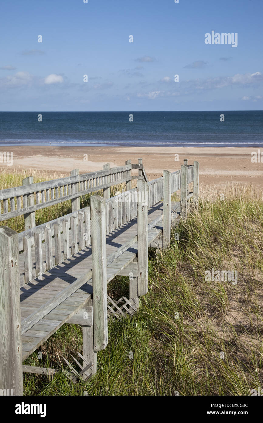 Walkway over fragile ecology at beach on island in the Gulf of St. Lawrence, Iles de la Madeleine, Quebec, Canada Stock Photo