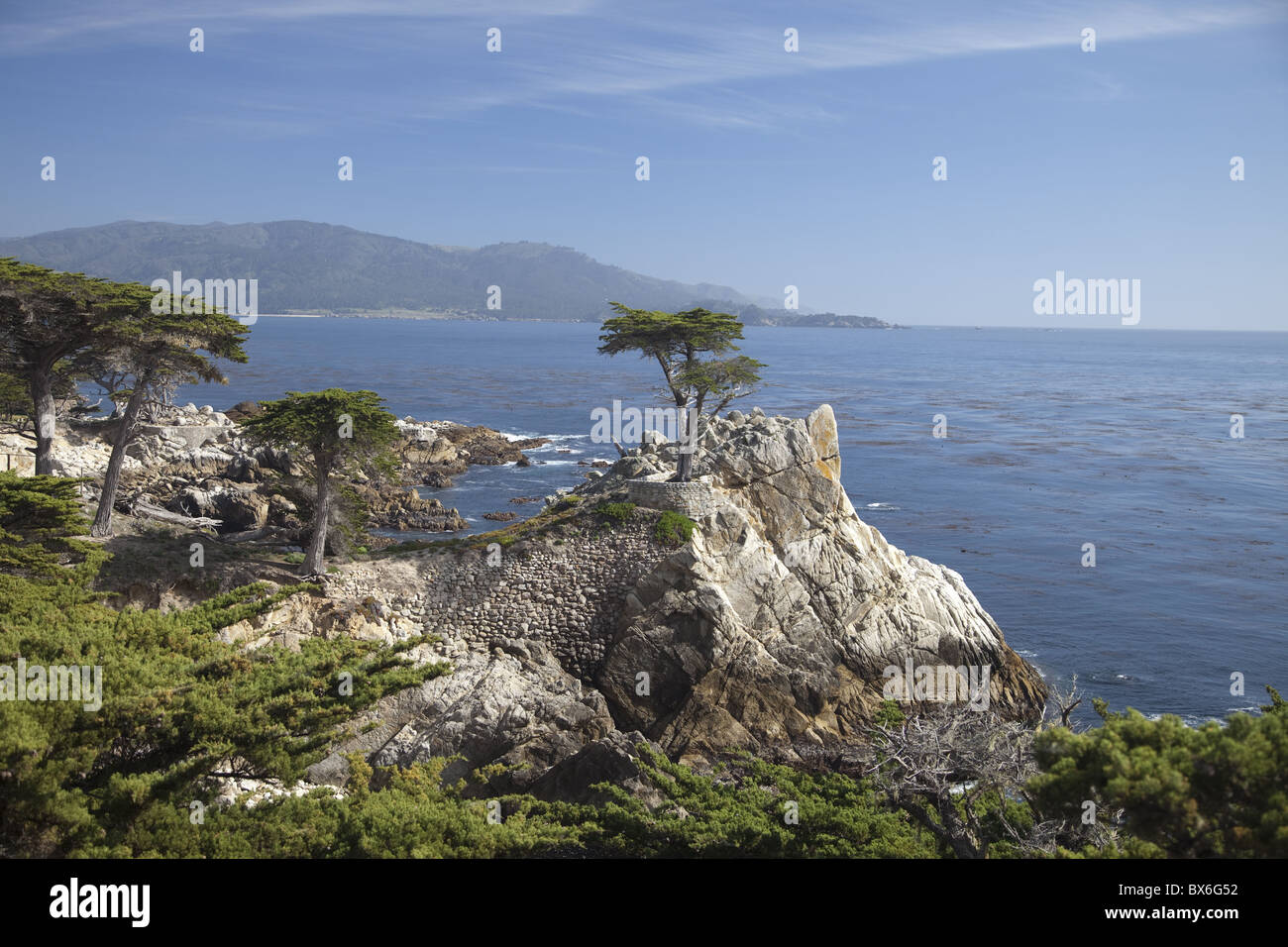 Lonely pine on 17 Mile Drive near Monterey, California, United States of America, North America Stock Photo