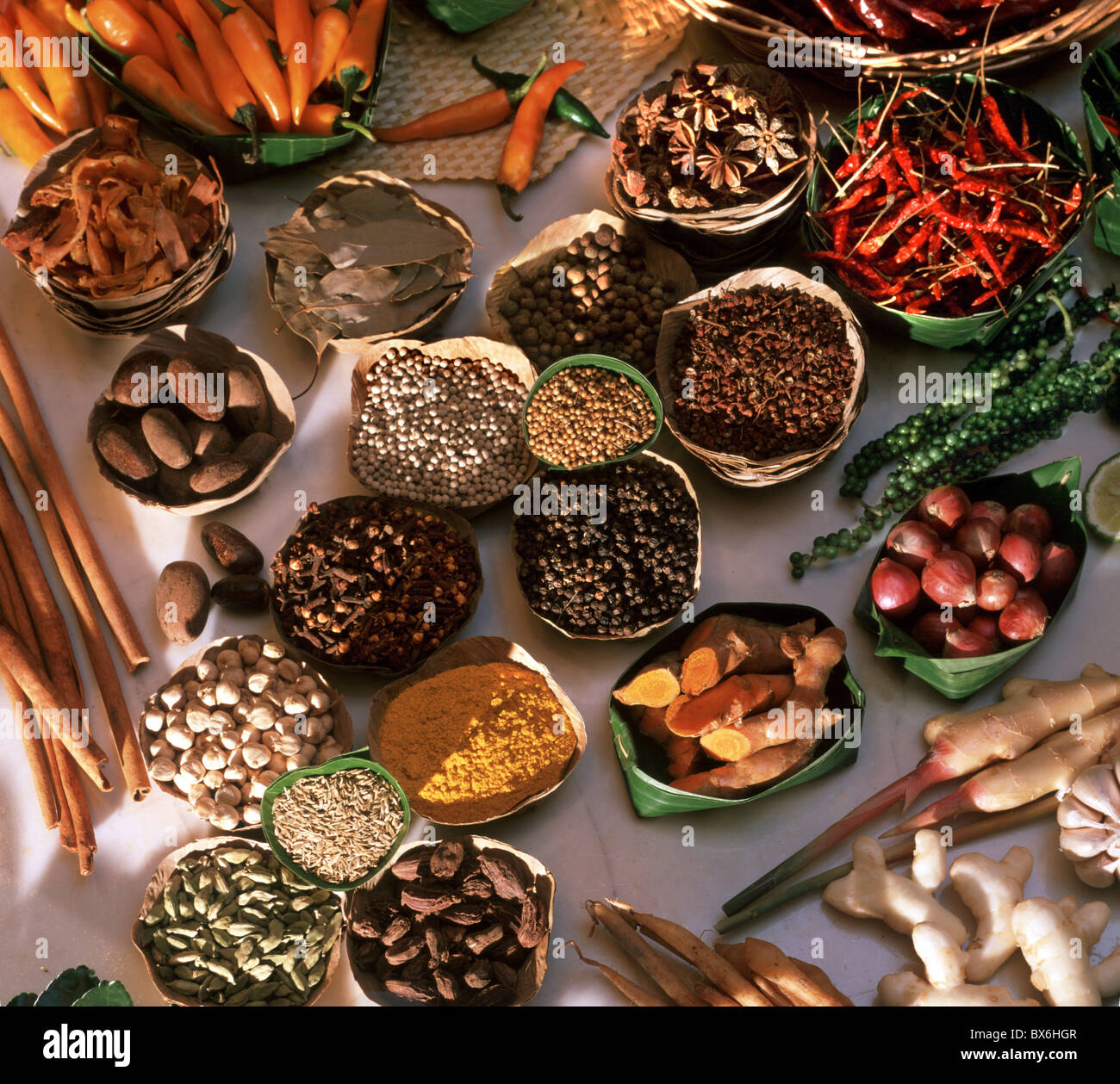 Spices used in Thai, Indian, Indonesian and Malay food, Thailand