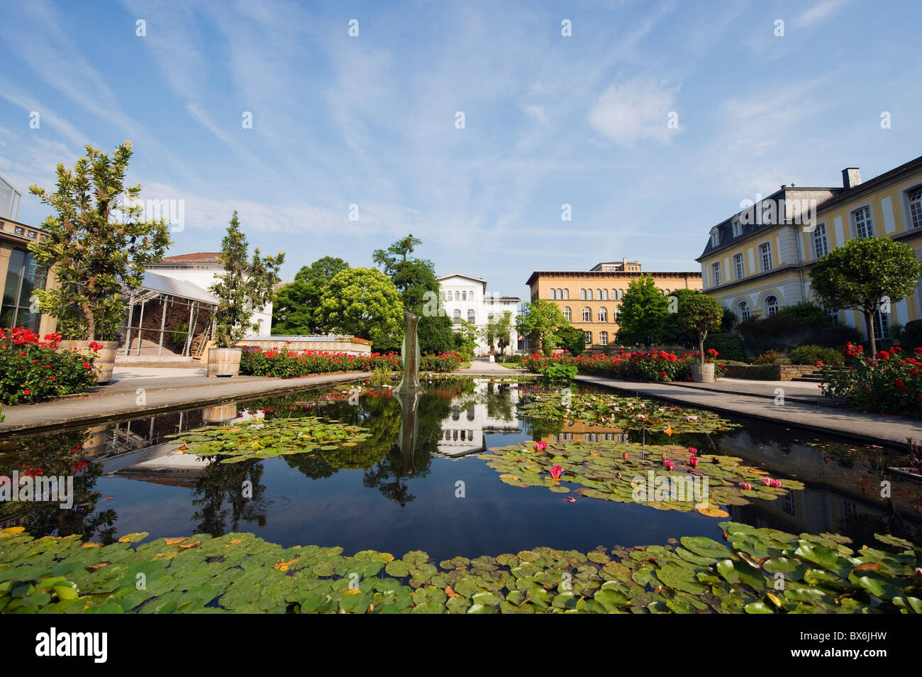 Botanical gardens, Bonn, North Rhineland Westphalia, Germany, Europe Stock Photo