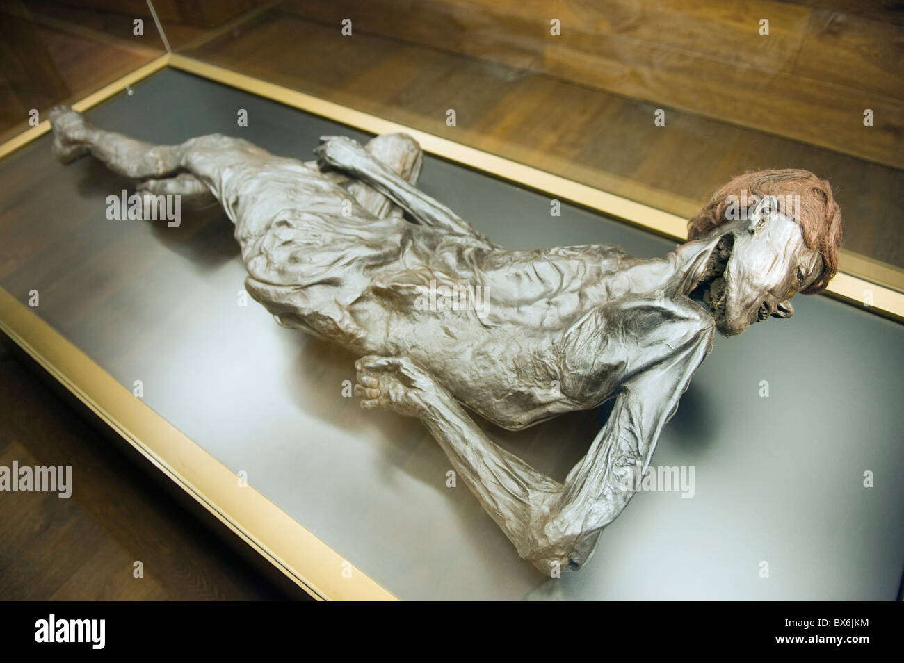 Preserved body of the 2000 year old Grauballe Man, Moesgard Museum of Prehistory, Arhus, Jutland, Denmark, Scandinavia, Europe Stock Photo