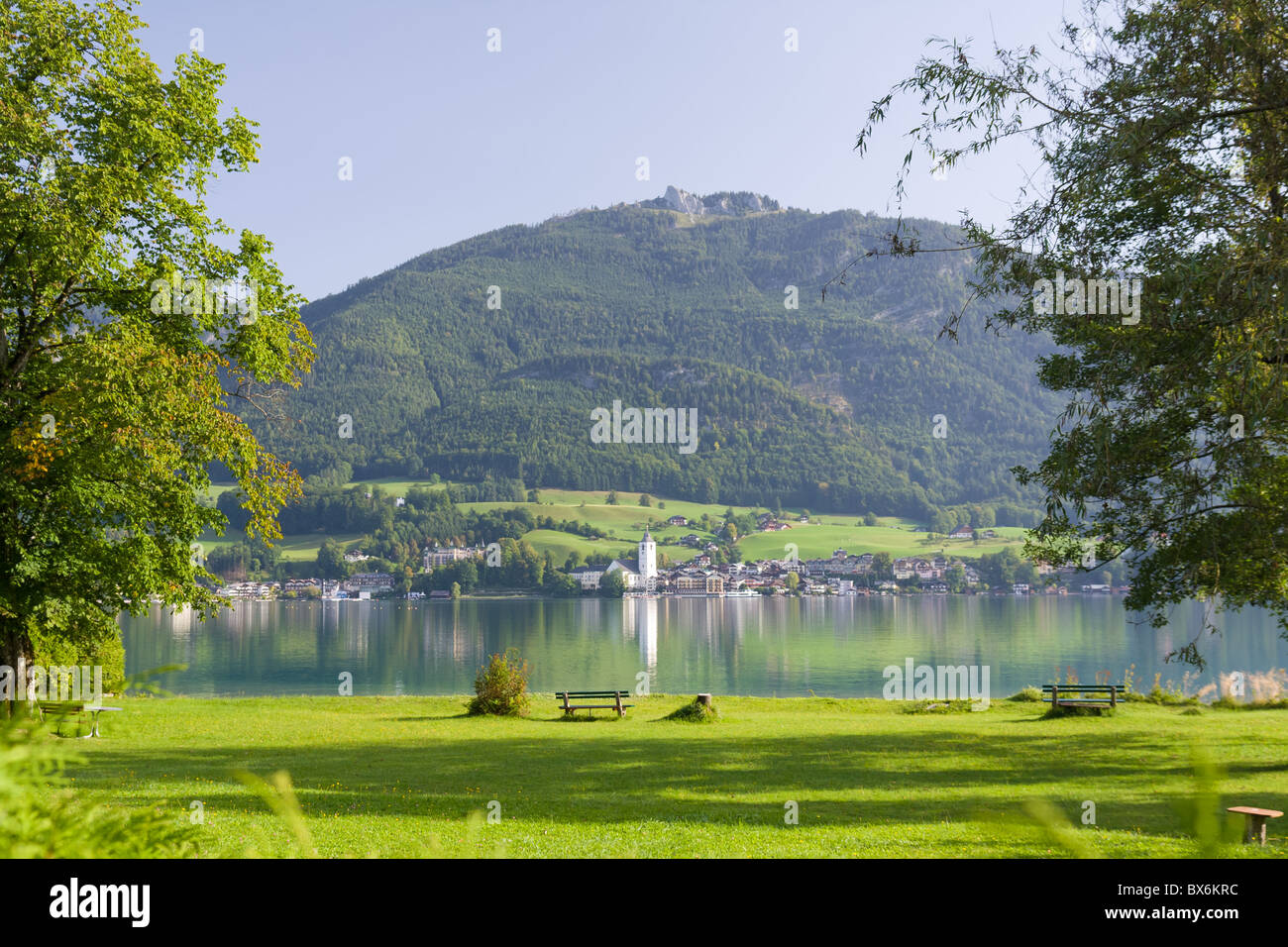 Crystal clear lake tree hi-res stock photography and images - Alamy