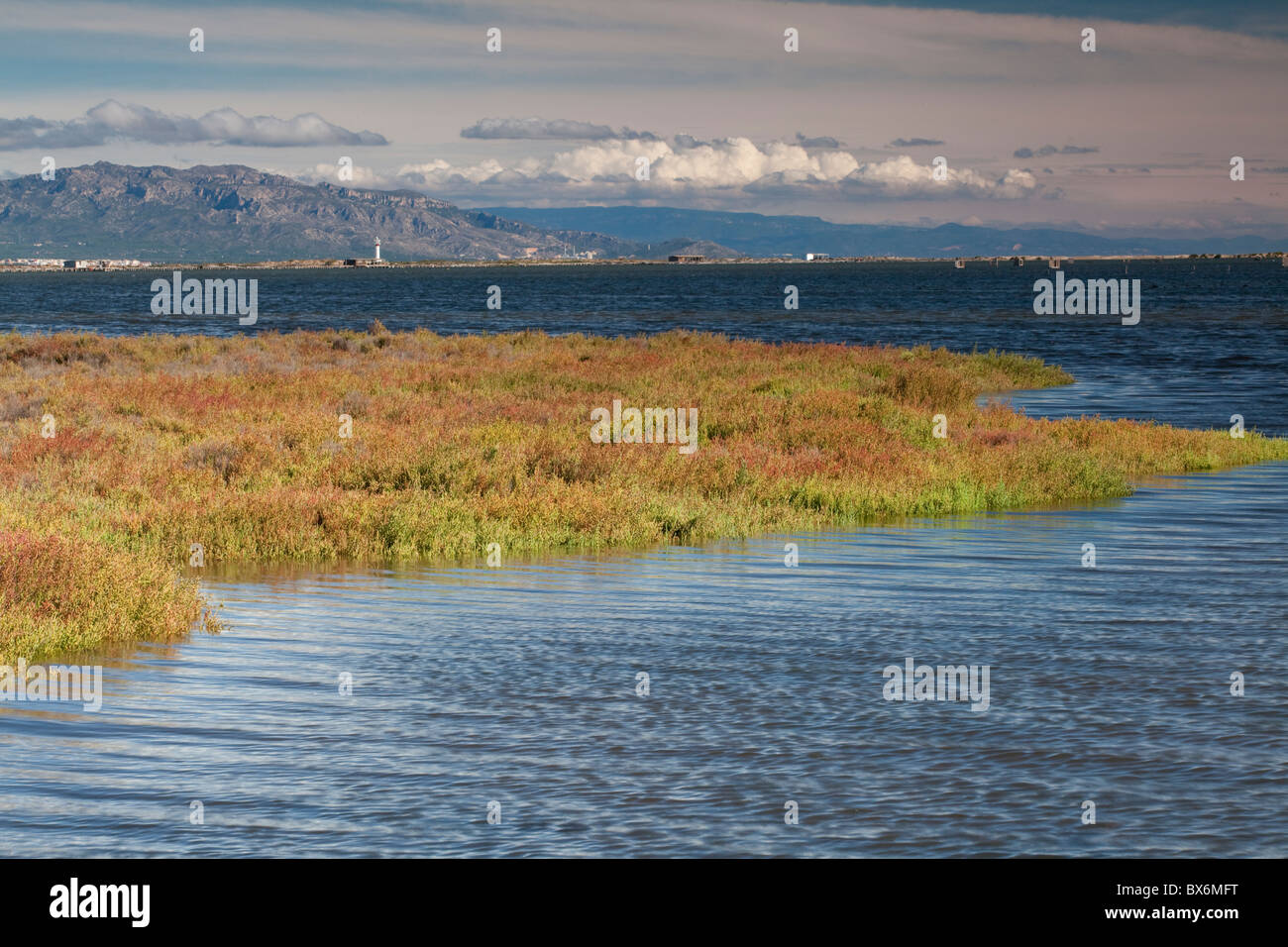 delta bolsagage restrictions