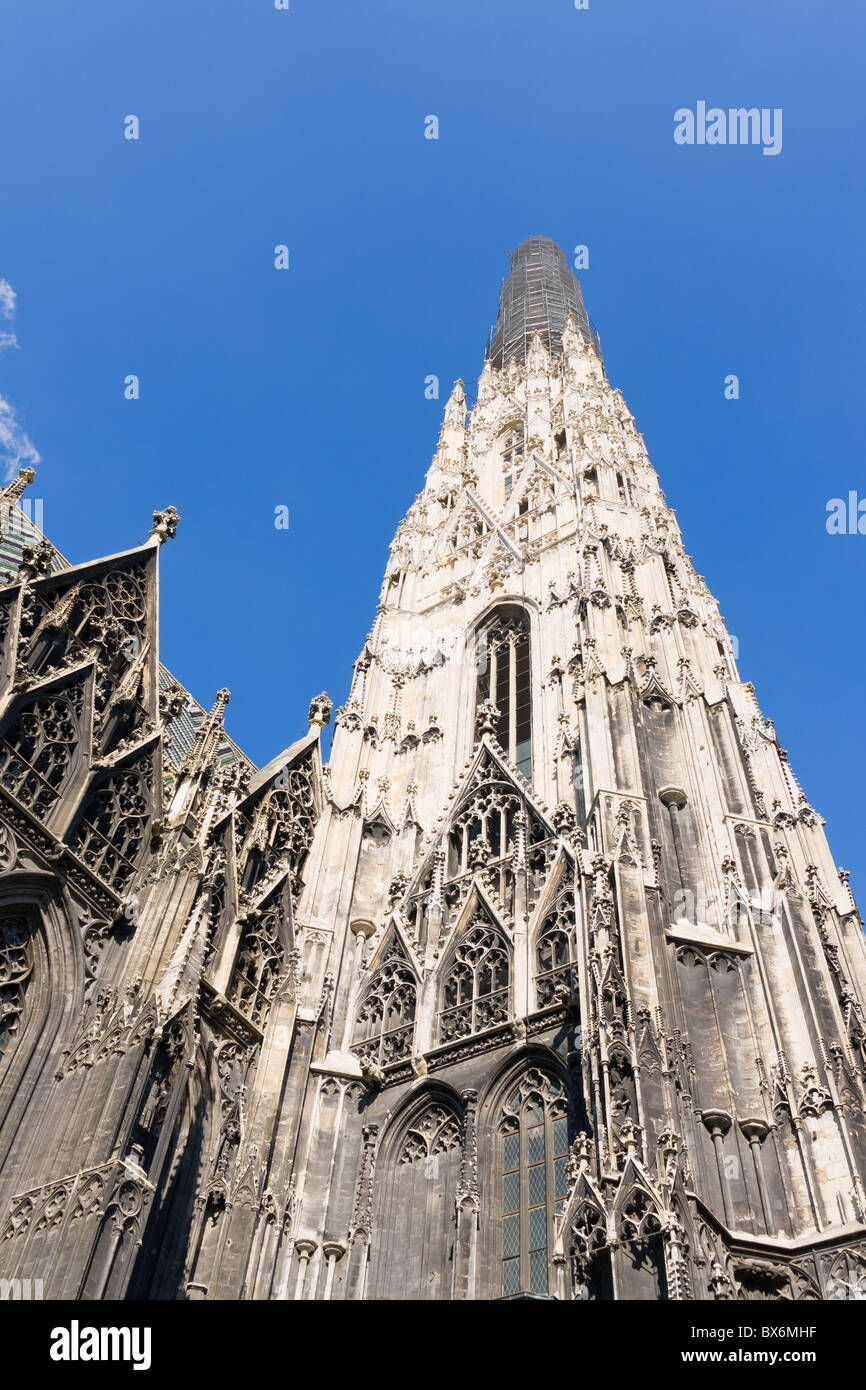 st. stephan cathedral in vienna Stock Photo