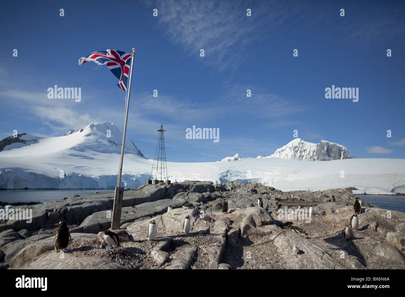 Penguin colony, English Research Station, Port Lockroy, Antarctic Peninsula, Antarctica, Polar Regions Stock Photo