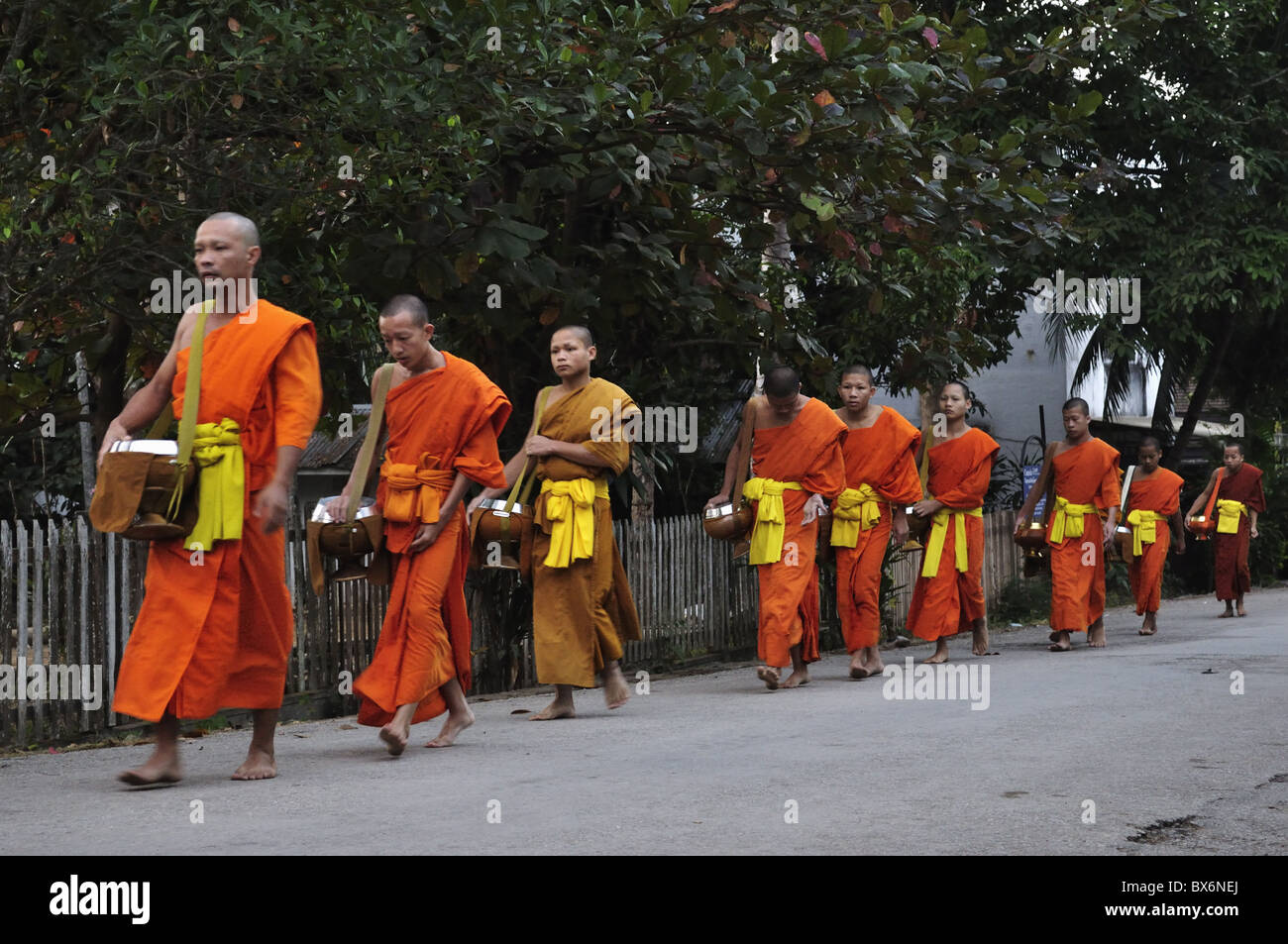 Buddhist monks collecting morning alms, Luang Prabang, Laos, Indochina, Southeast Asia, Asia Stock Photo