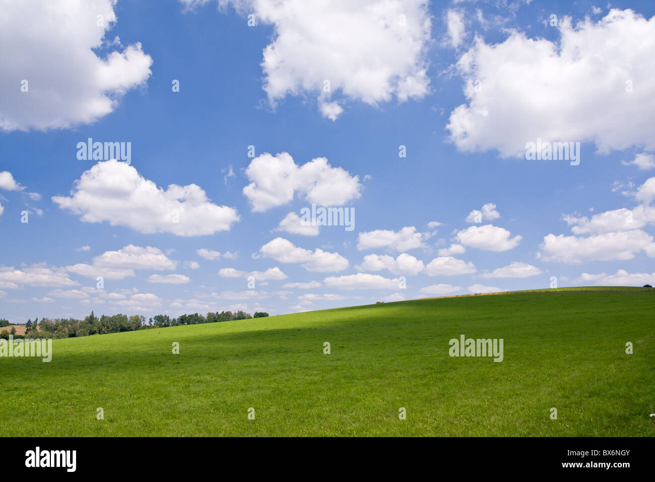 green farm land with a blue sky Stock Photo - Alamy