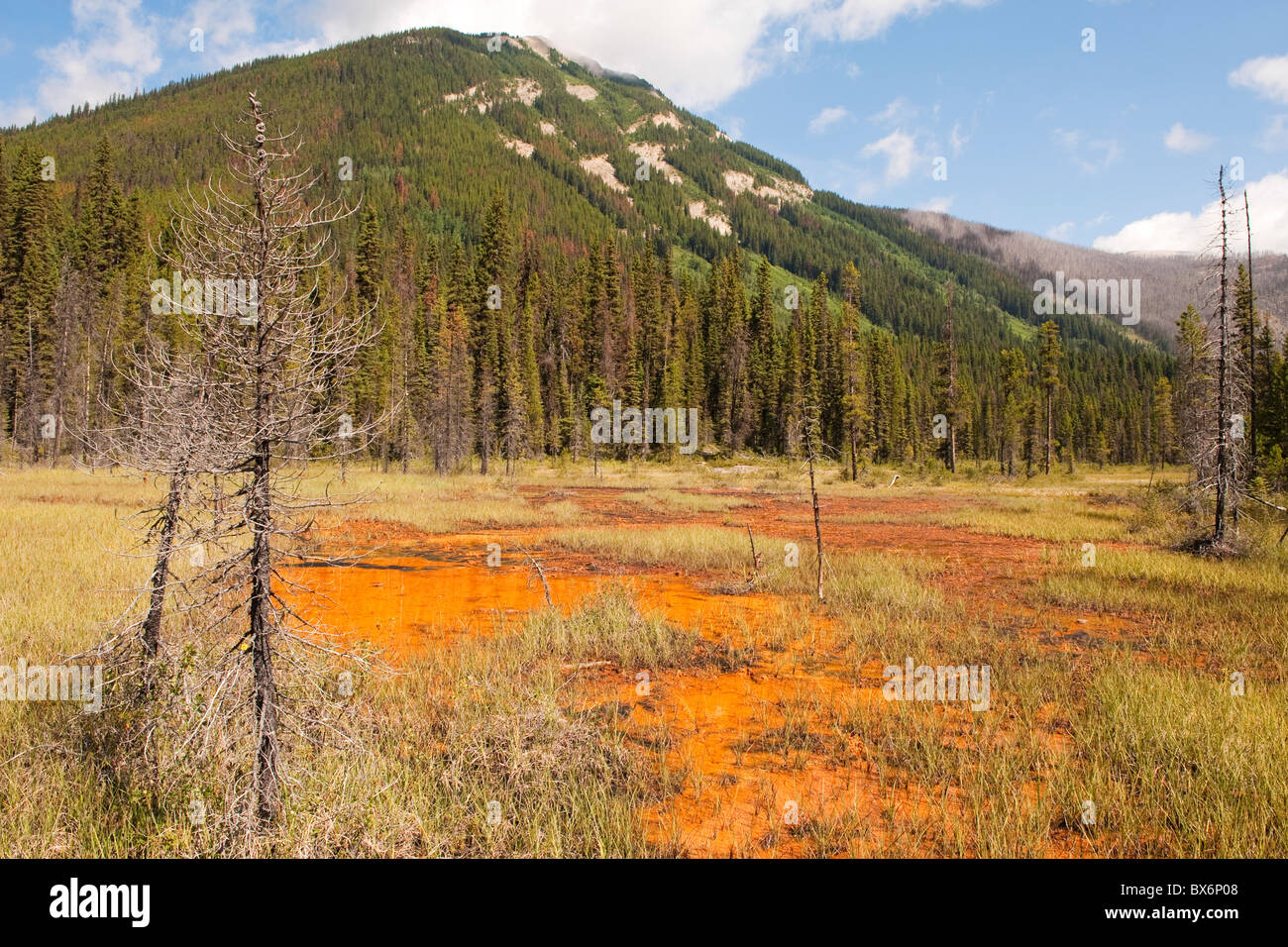 Ochre landscape at The Paint Pots, Kootenay National Park, British Columbia, Canada Stock Photo